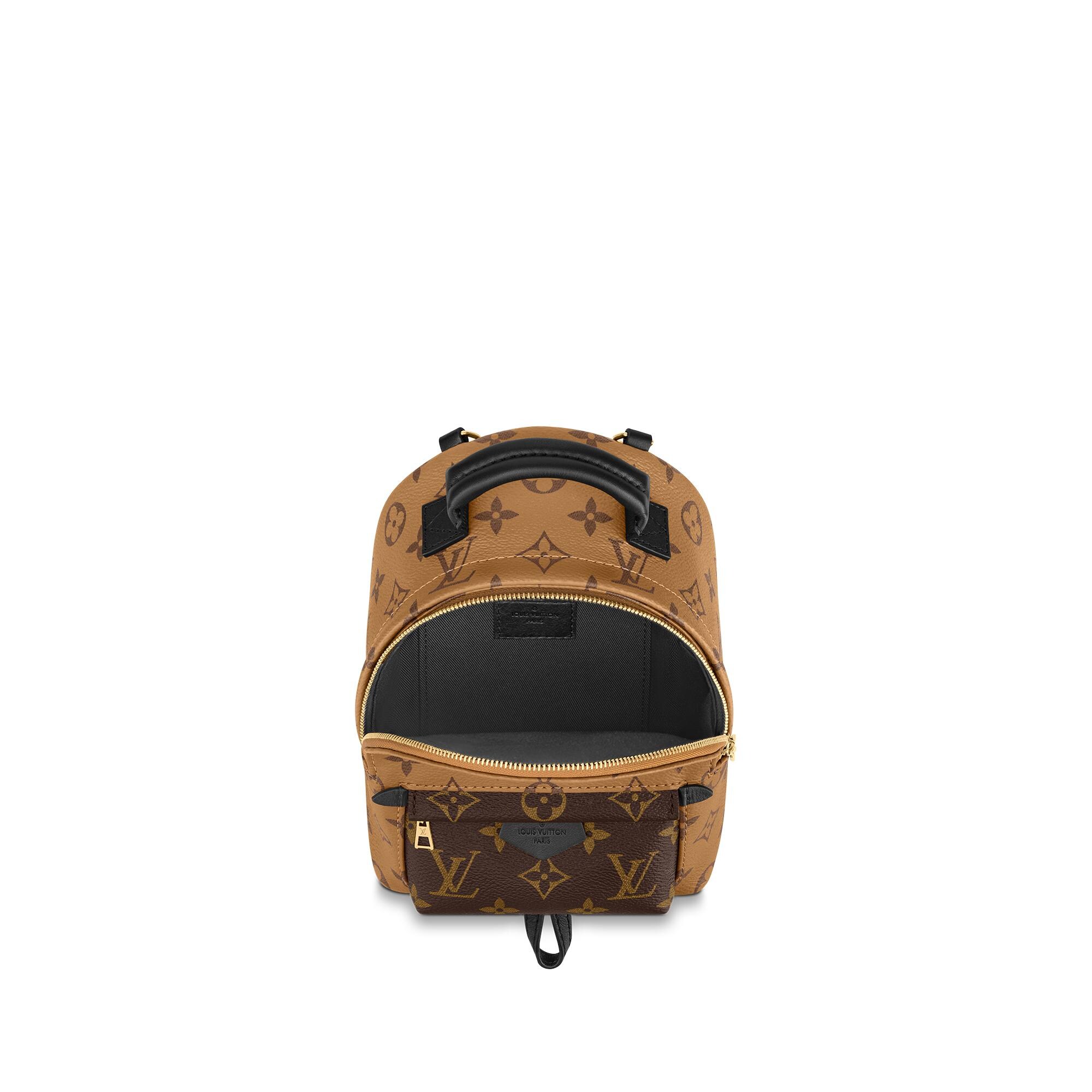 palm springs mini reverse review