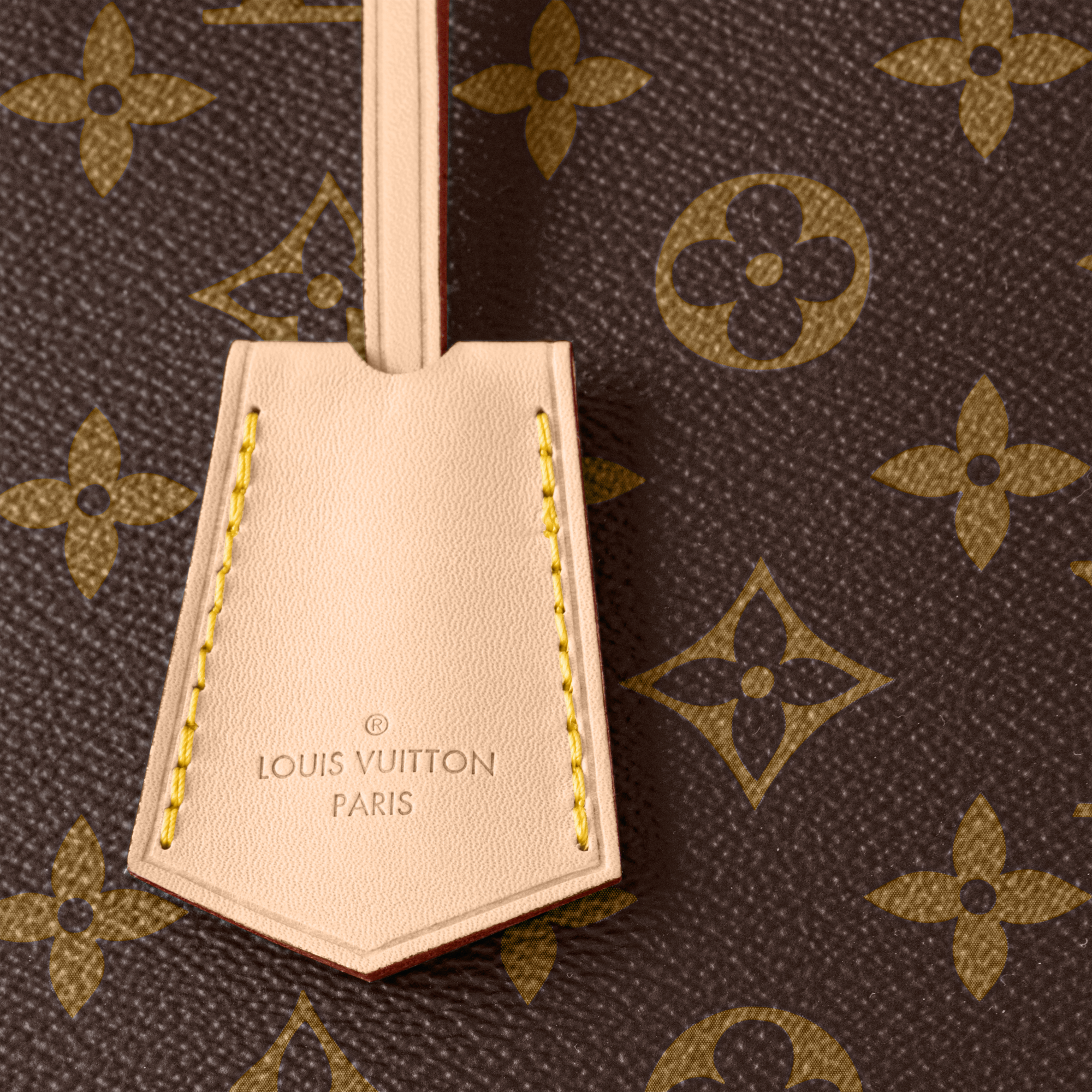 Alma PM Monogram 帆布 in 女士