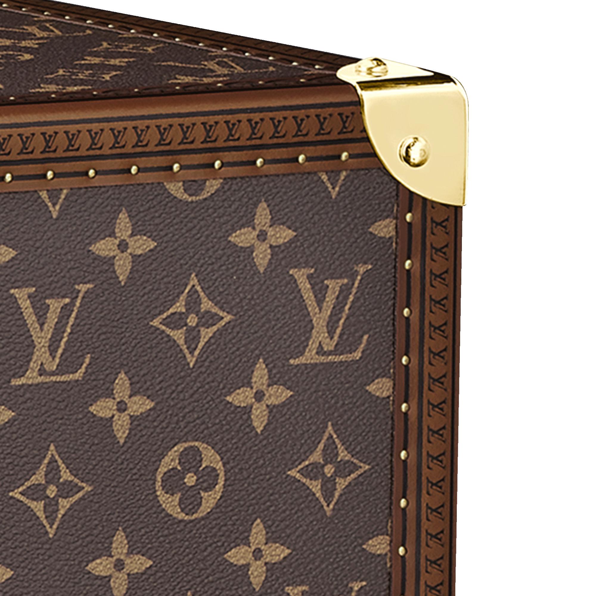 Alzer 80 Monogram 帆布 in Les Extraordinaires