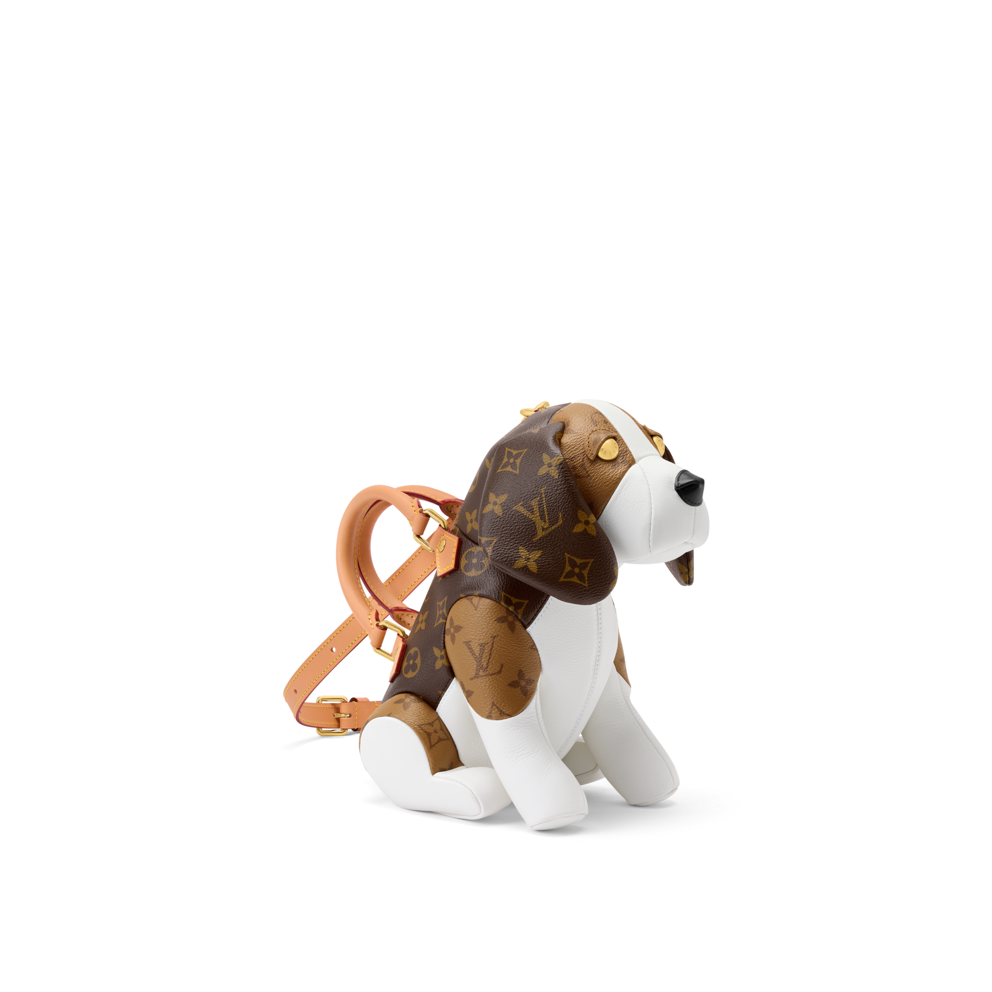 Beagle Bag 其他 Monogram 帆布 in 男士