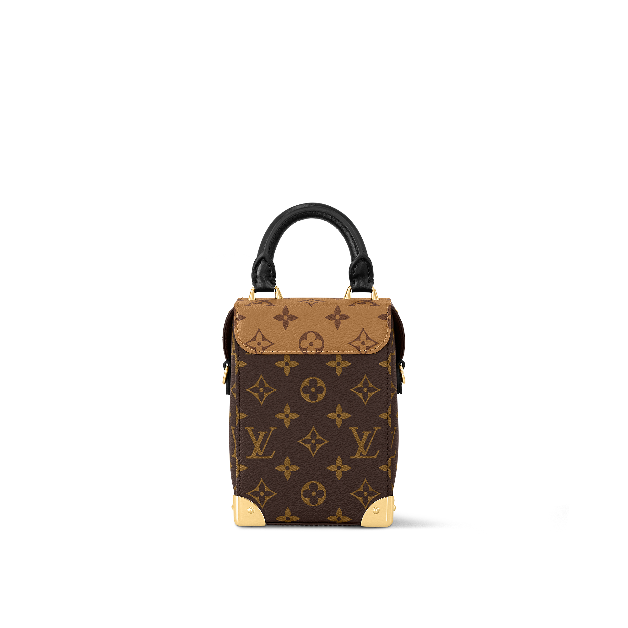Camera Box 其他 Monogram 帆布 in 女士
