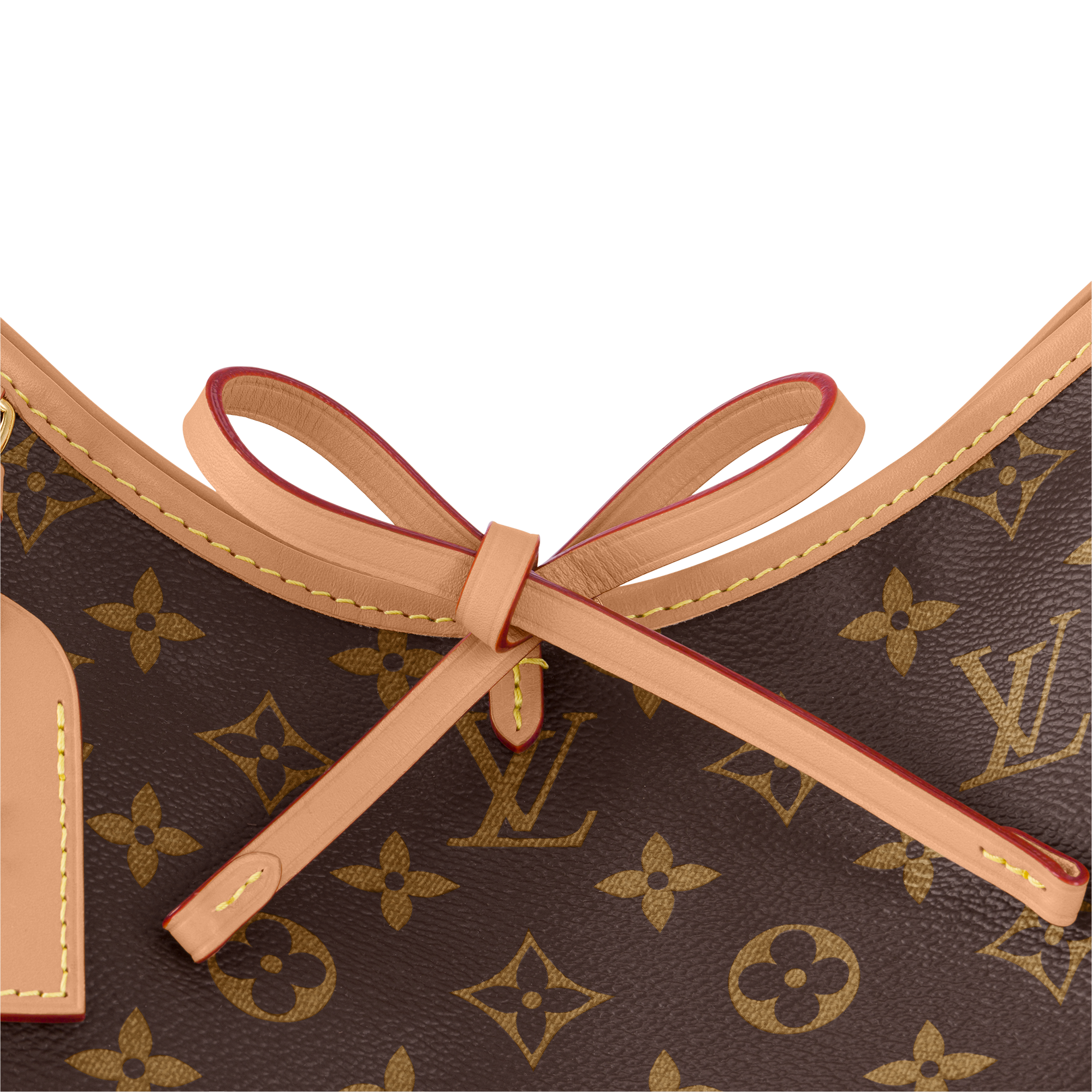 CarryAll PM Monogram 帆布 in 女士