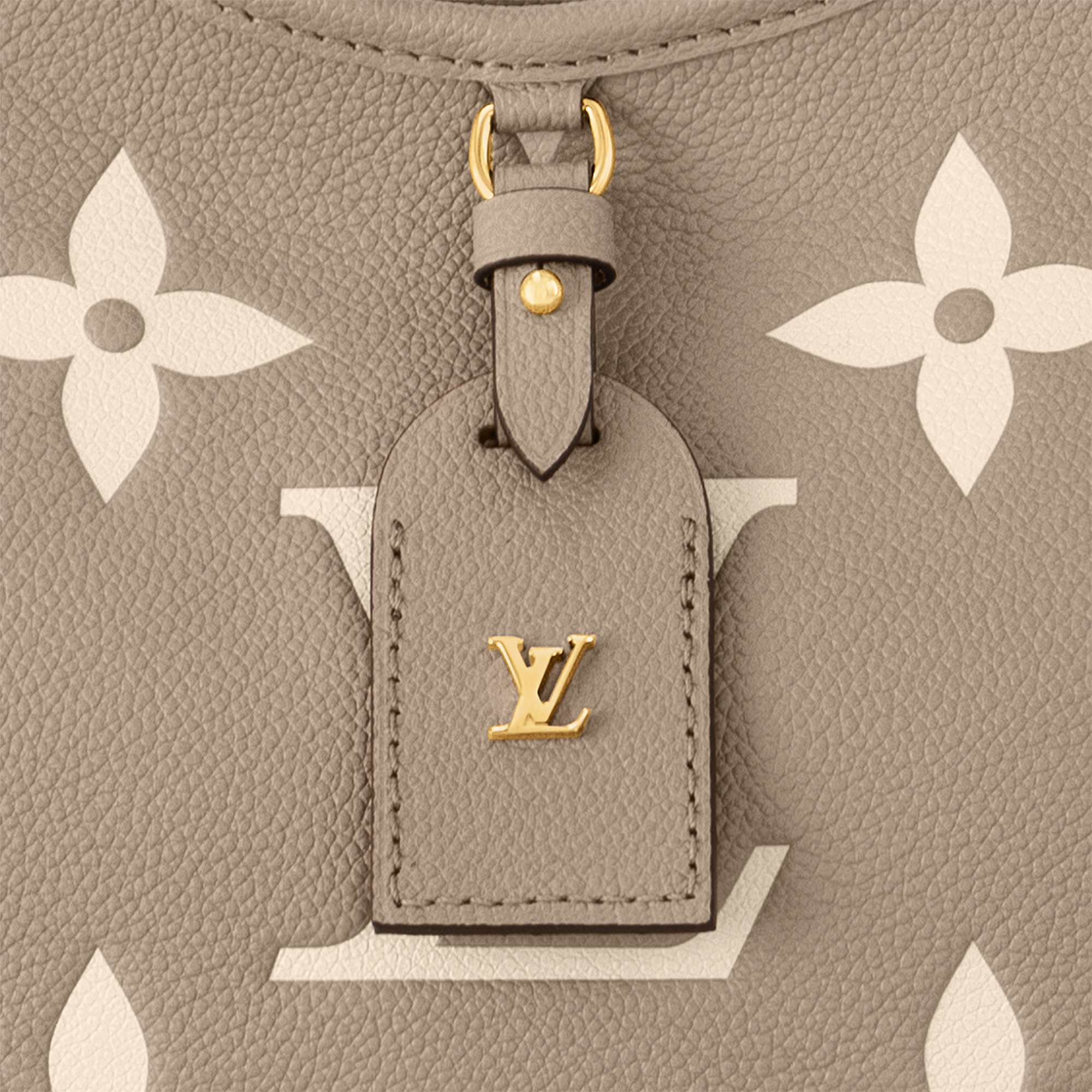 CarryAll PM 雙色 Monogram Empreinte 皮革 in 女士