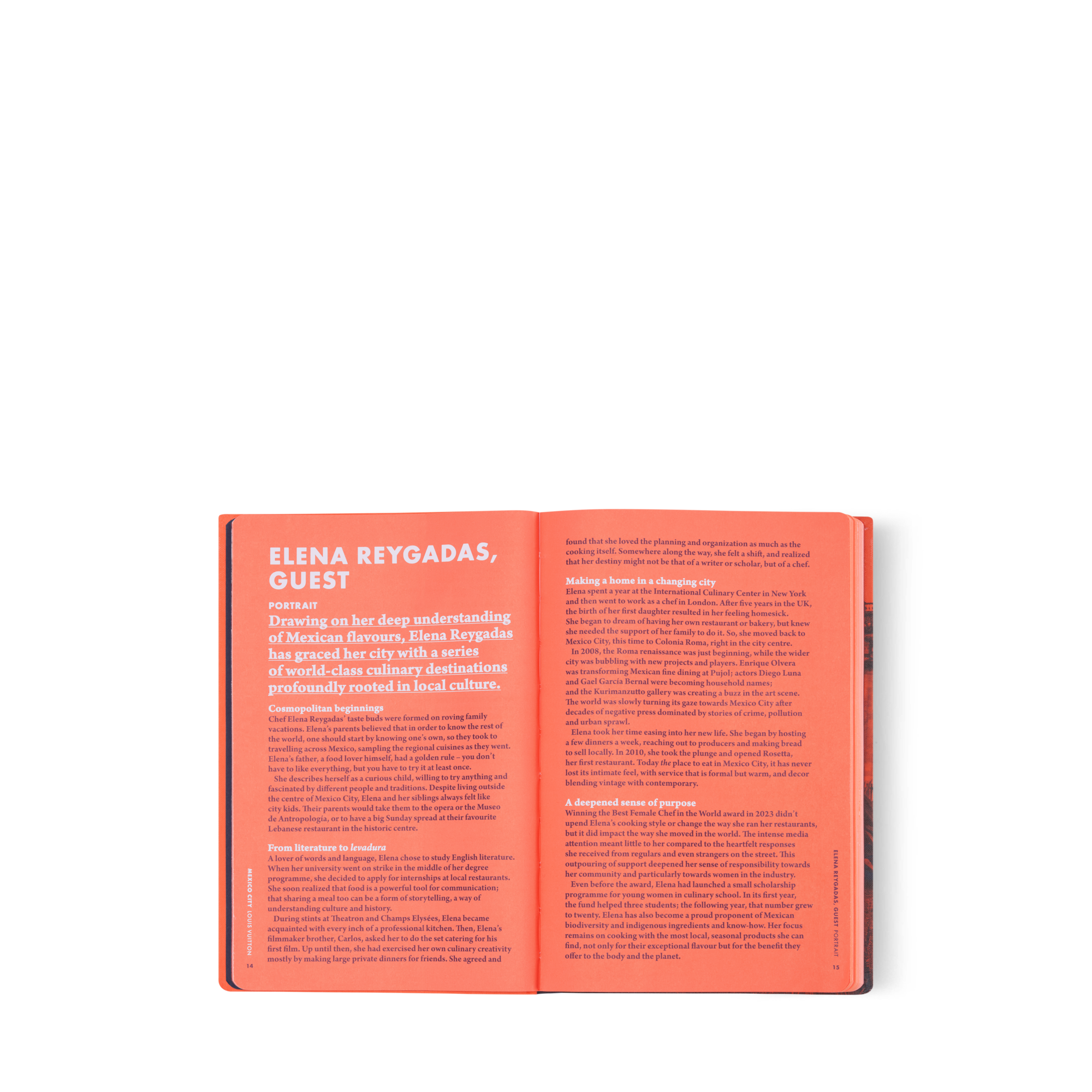 墨西哥 City Guide  in 行李箱、旅行用品及家居精品