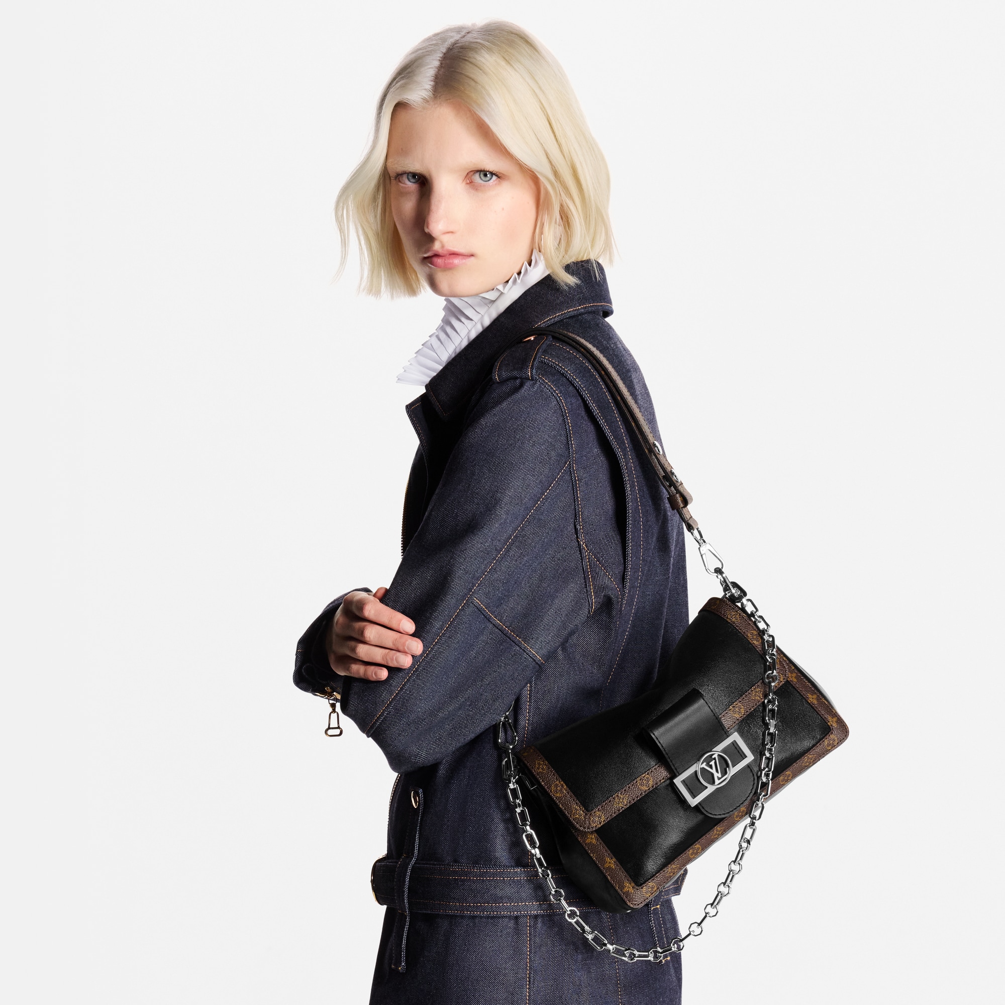Dauphine Soft MM LV Vibe in 時尚包包及小型皮件