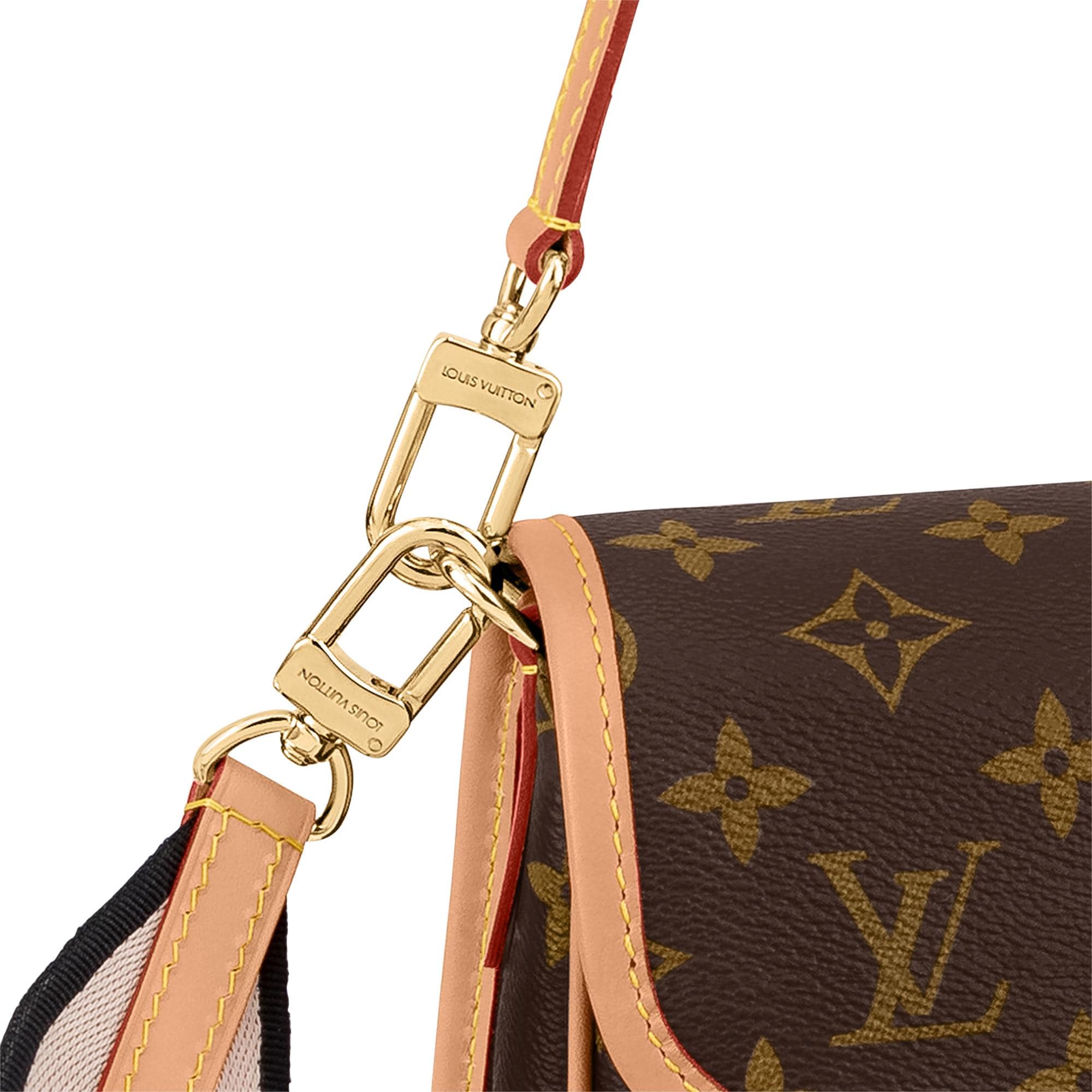 Diane Monogram 帆布 in 女士