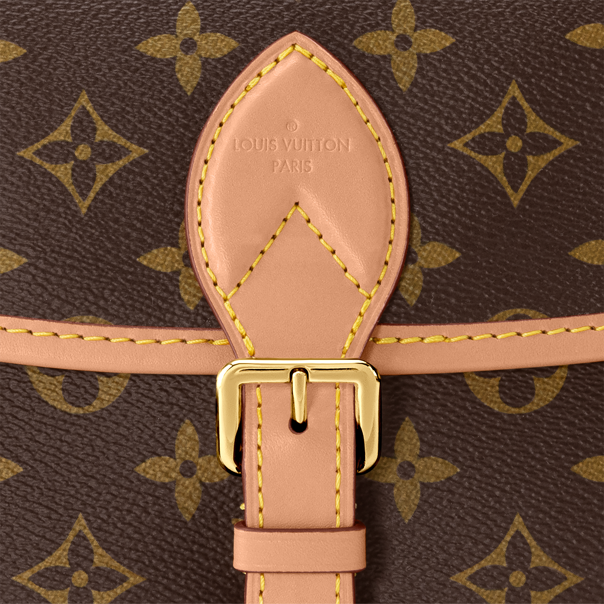 Diane Monogram 帆布 in 女士