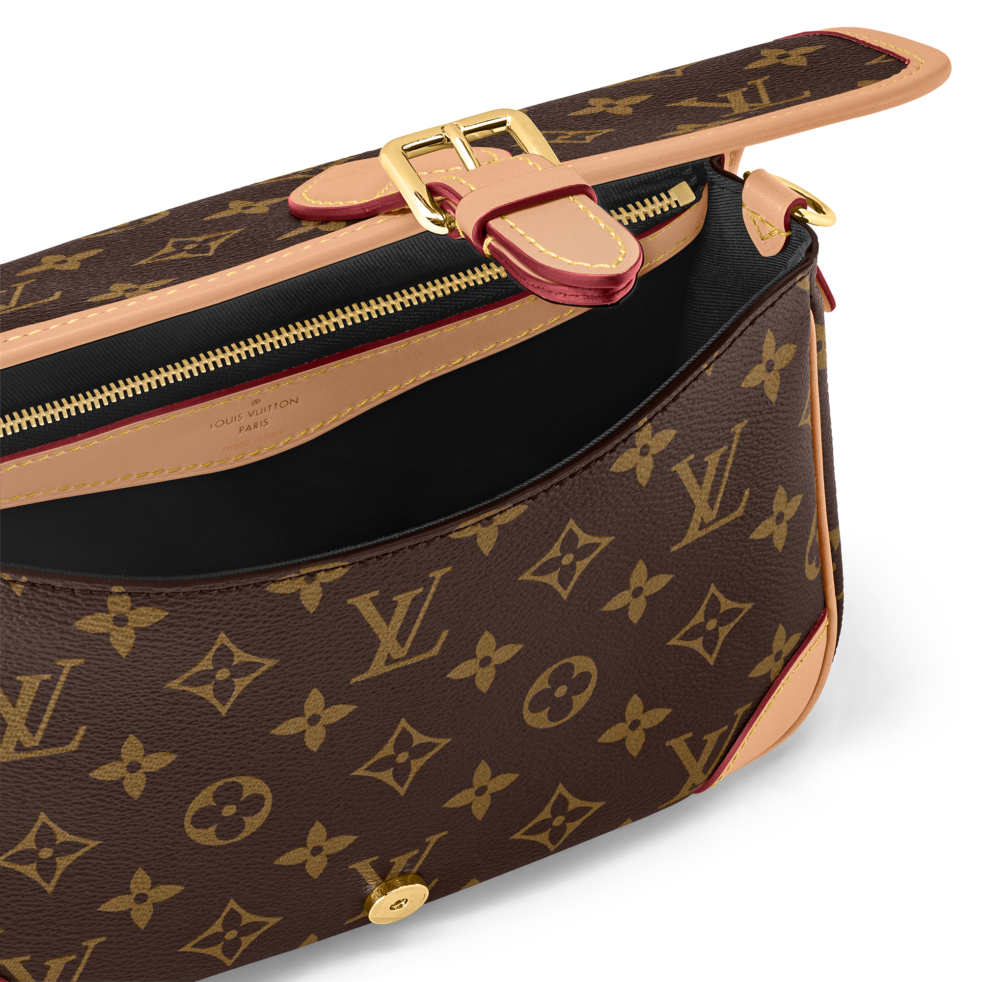 Diane Monogram 帆布 in 女士