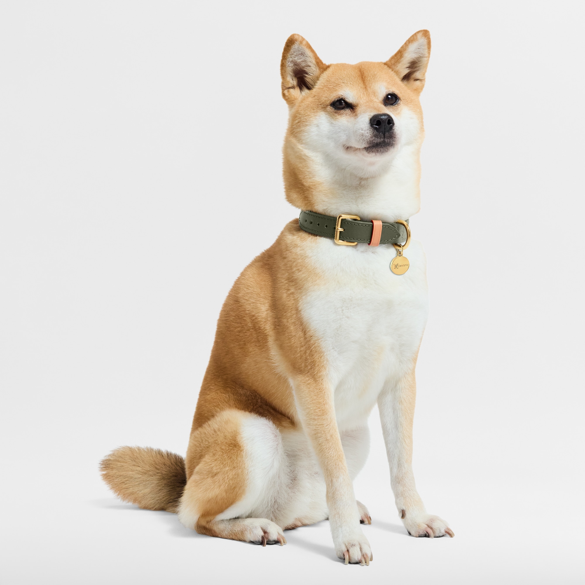 項圈 PM . in 行李箱、旅行用品及家居精品