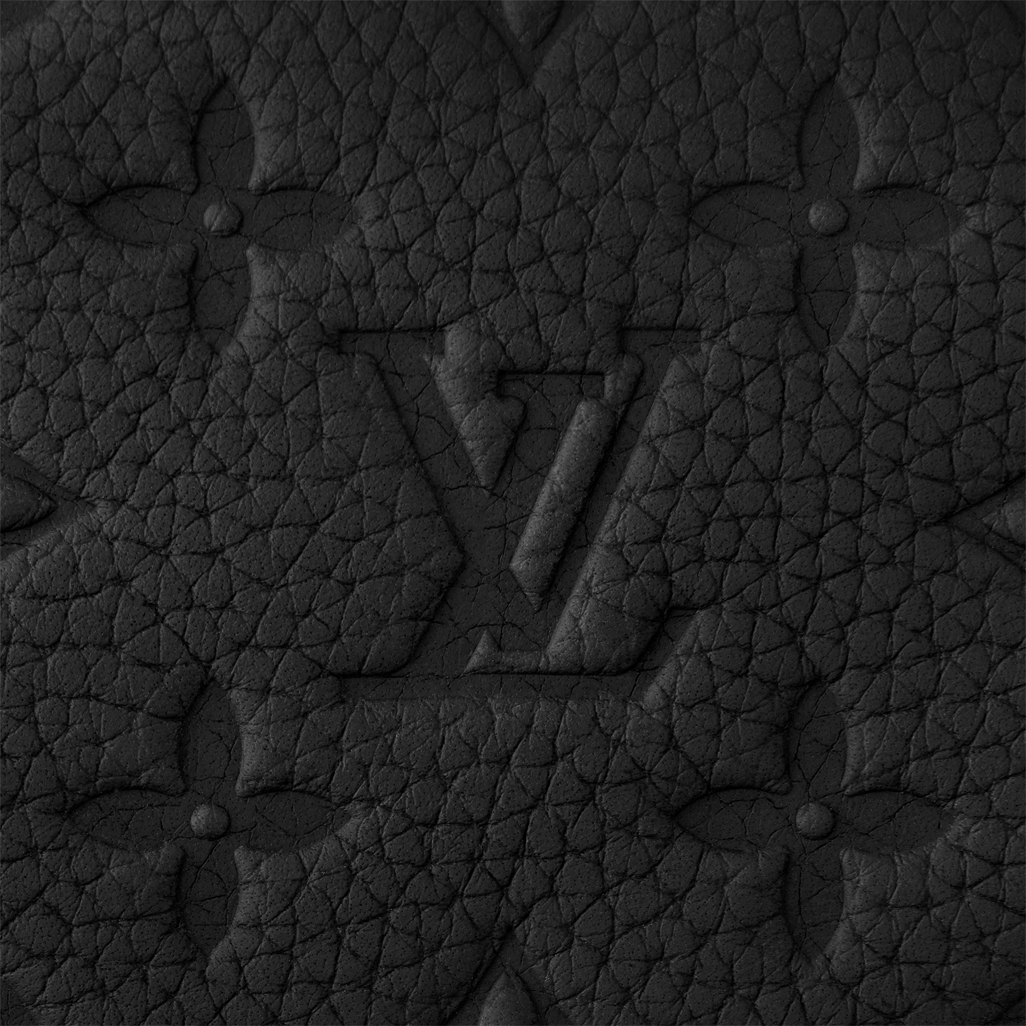 Dopp Kit 梳洗包 Monogram Taurillon 皮革 in 男士