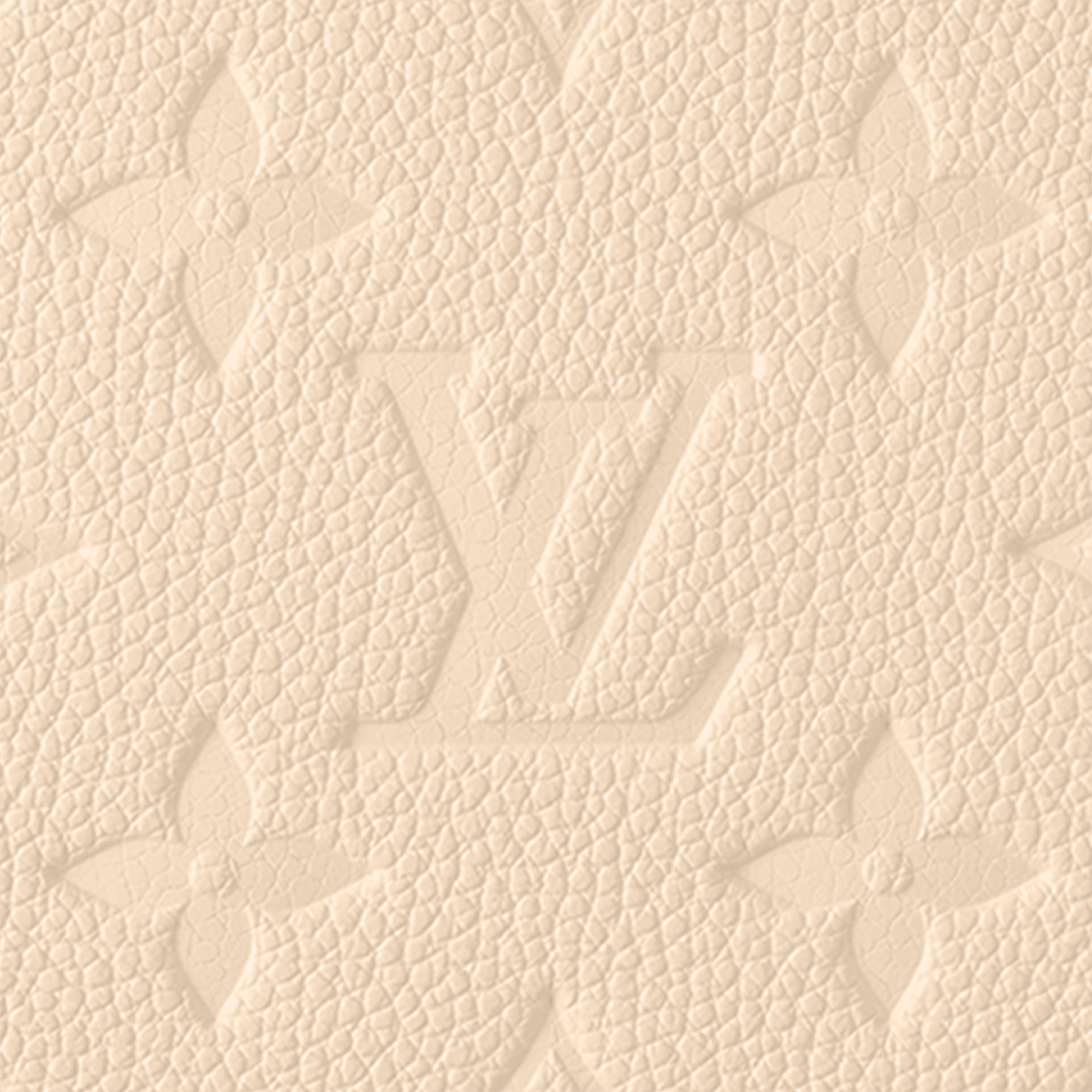 Easy Pouch On Strap Monogram Empreinte 皮革 in 女士