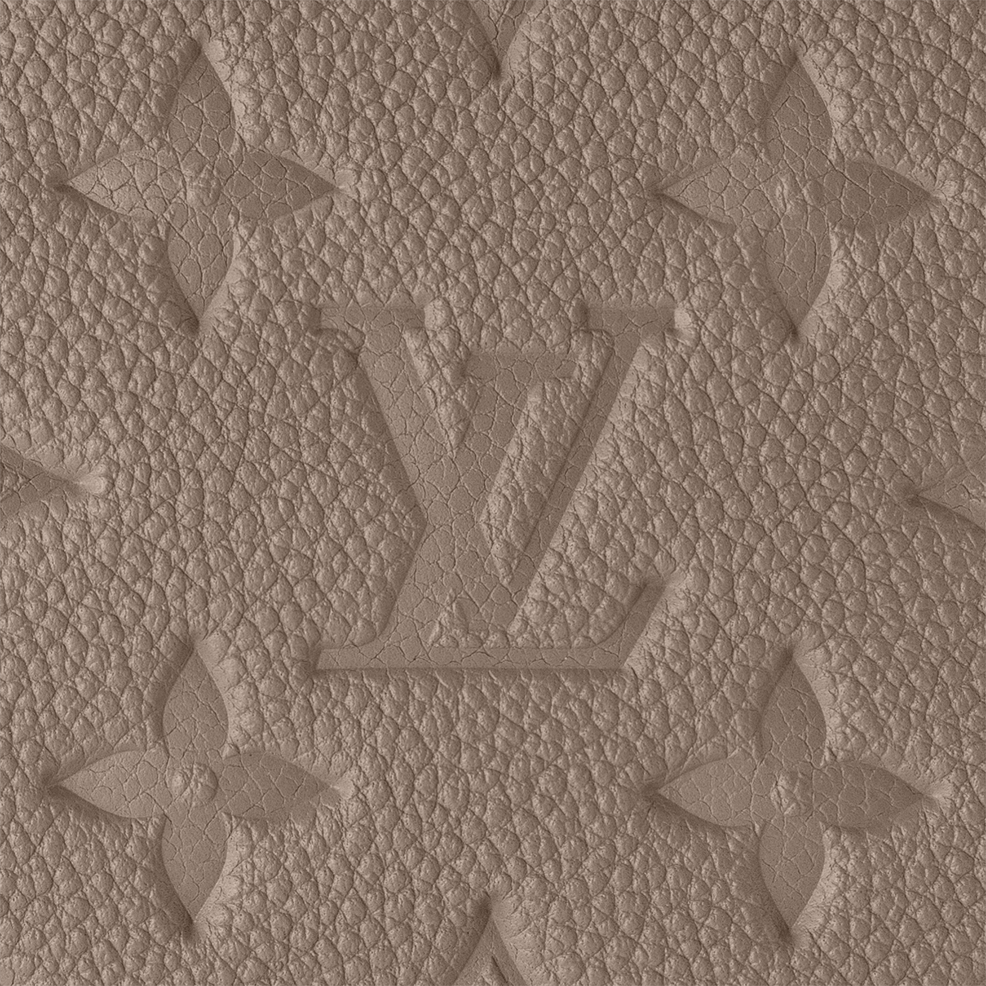 Easy Pouch On Strap Monogram Empreinte 皮革 in 女士
