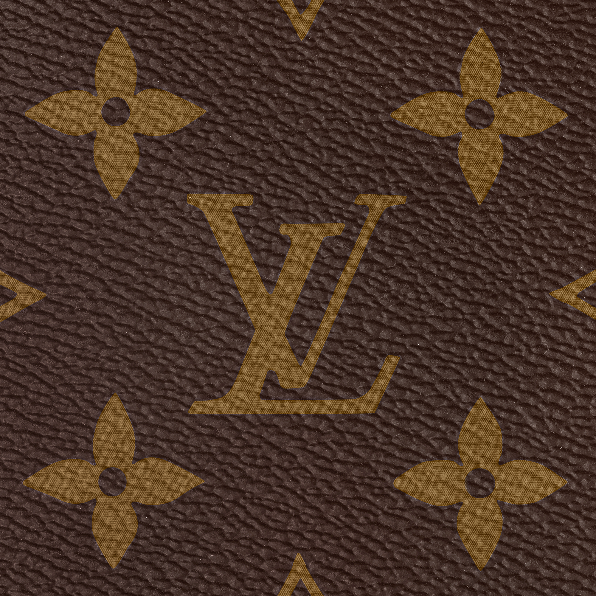 Ellipse PM Monogram 帆布 in 女士