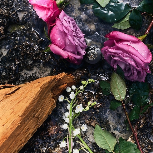 eLVes Louis Vuitton in 香水及彩妝系列's 香水總覽 } collections by Louis Vuitton (產品縮放)