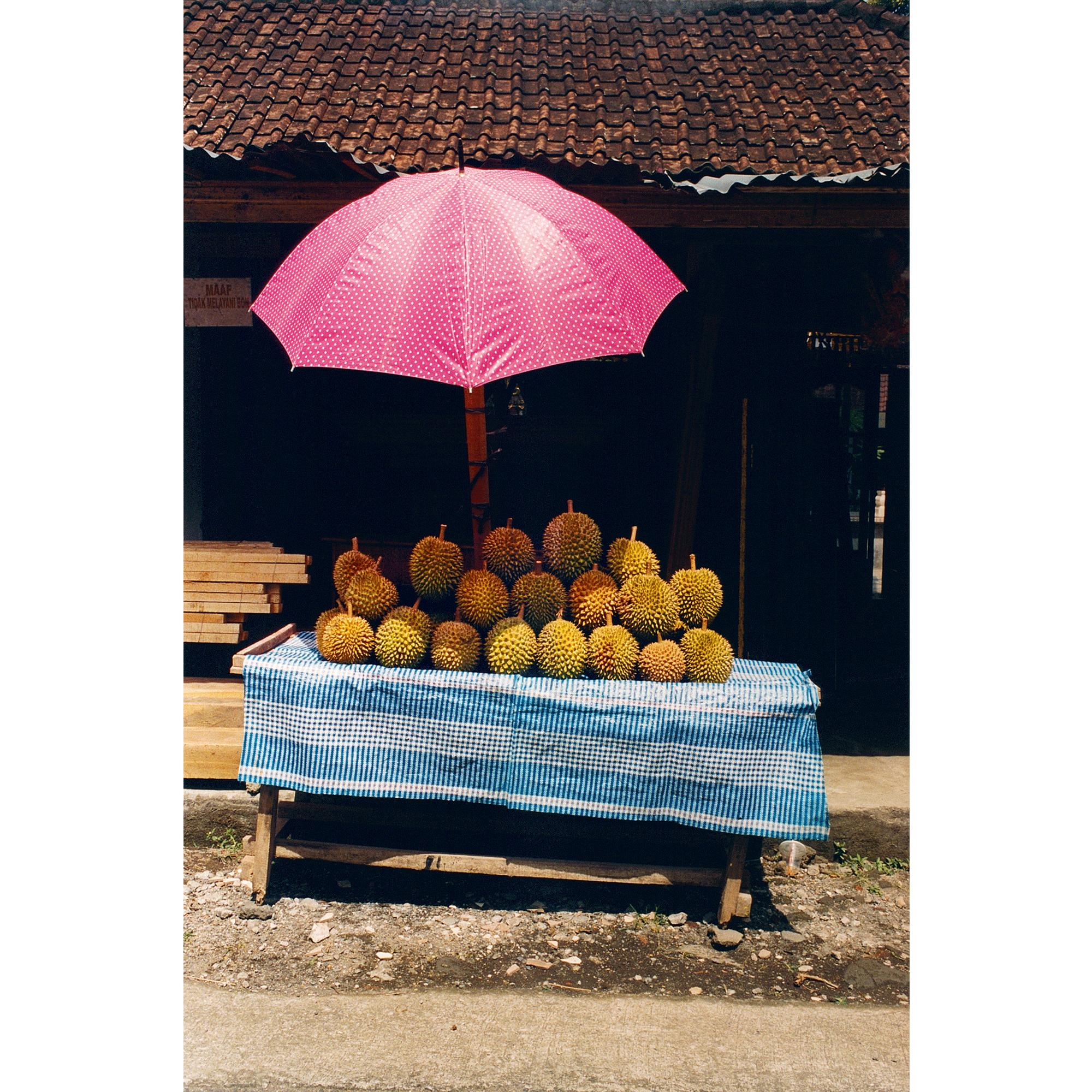 Fashion Eye Bali  in 行李箱、旅行用品及家居精品
