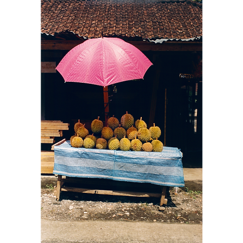 Fashion Eye Bali in 行李箱、旅行用品及家居精品's 書庫及文具 旅遊攝影集 collections by Louis Vuitton (產品縮放)