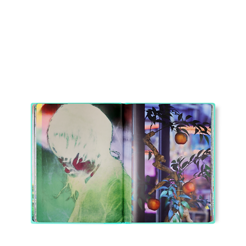 大阪 Fashion Eye in 行李箱、旅行用品及家居精品's 書庫及文具 旅遊攝影集 collections by Louis Vuitton (產品縮放)