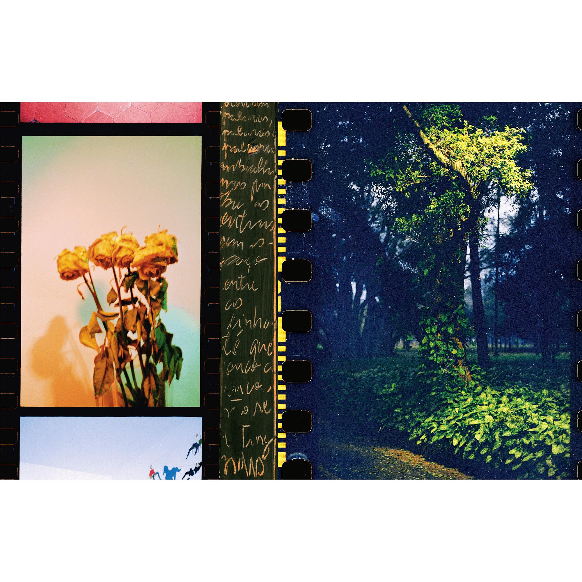 Fashion Eye Sao Paulo  in 行李箱、旅行用品及家居精品