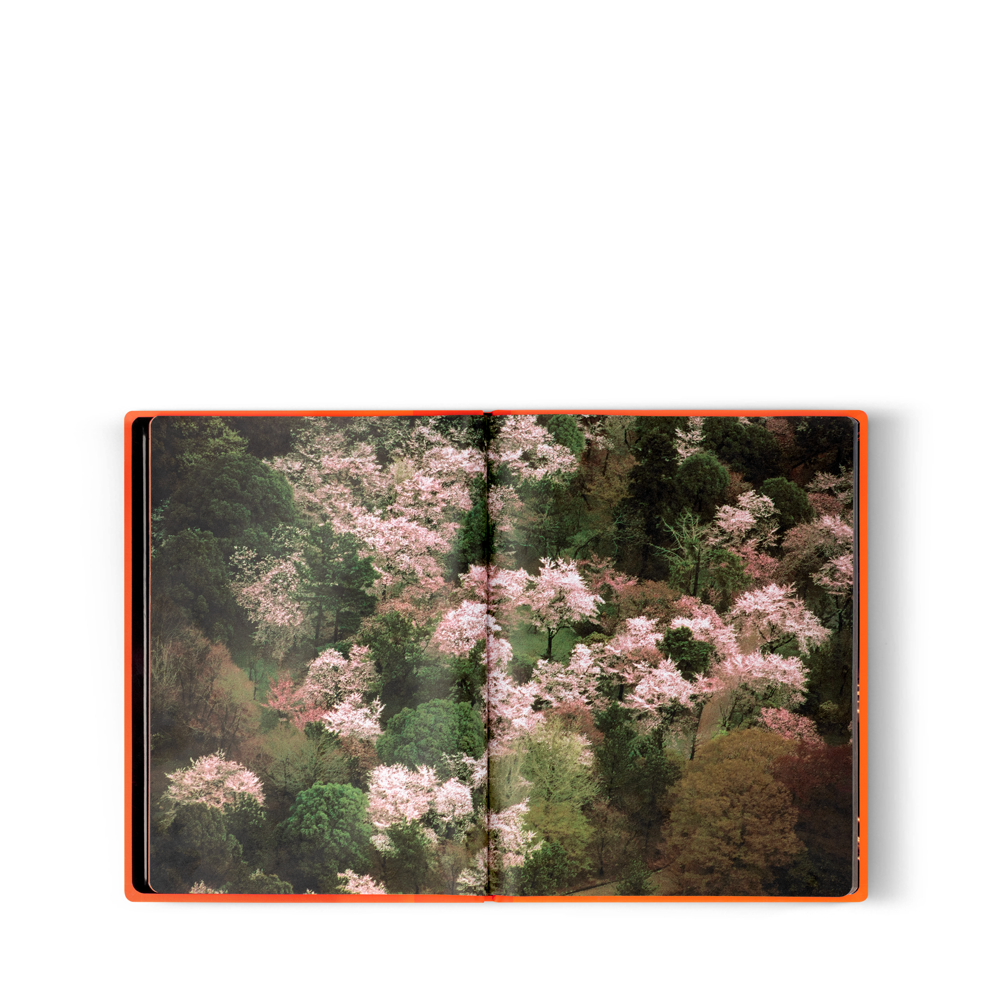 Fashion Eye Silk Road  in 行李箱、旅行用品及家居精品