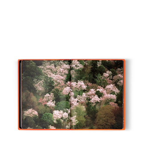 Fashion Eye Silk Road in 行李箱、旅行用品及家居精品's 書庫及文具 旅遊攝影集 collections by Louis Vuitton (產品縮放)