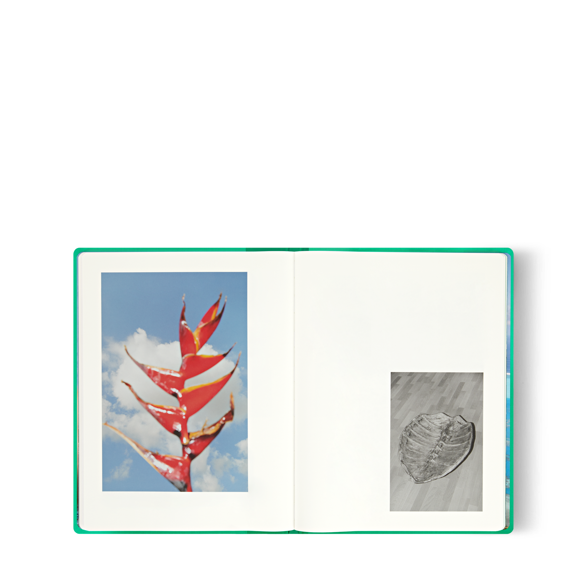 Fashion Eye Tahiti By Jonathan Llense  in 行李箱、旅行用品及家居精品