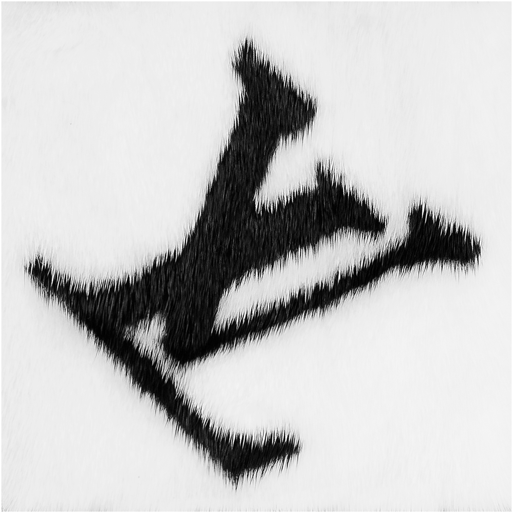 Gogram Fur 圍巾 . in 女士