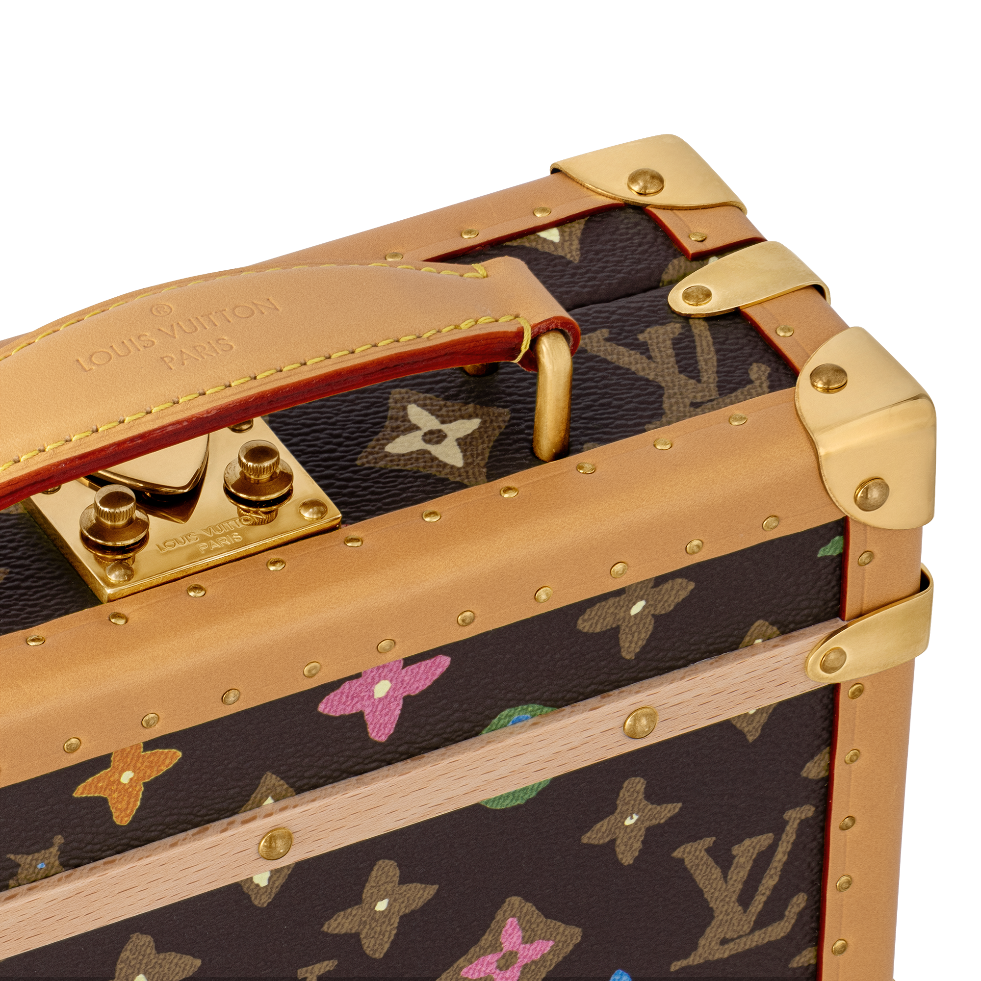 Handle Trunk Monogram Other 帆布 in Les Extraordinaires