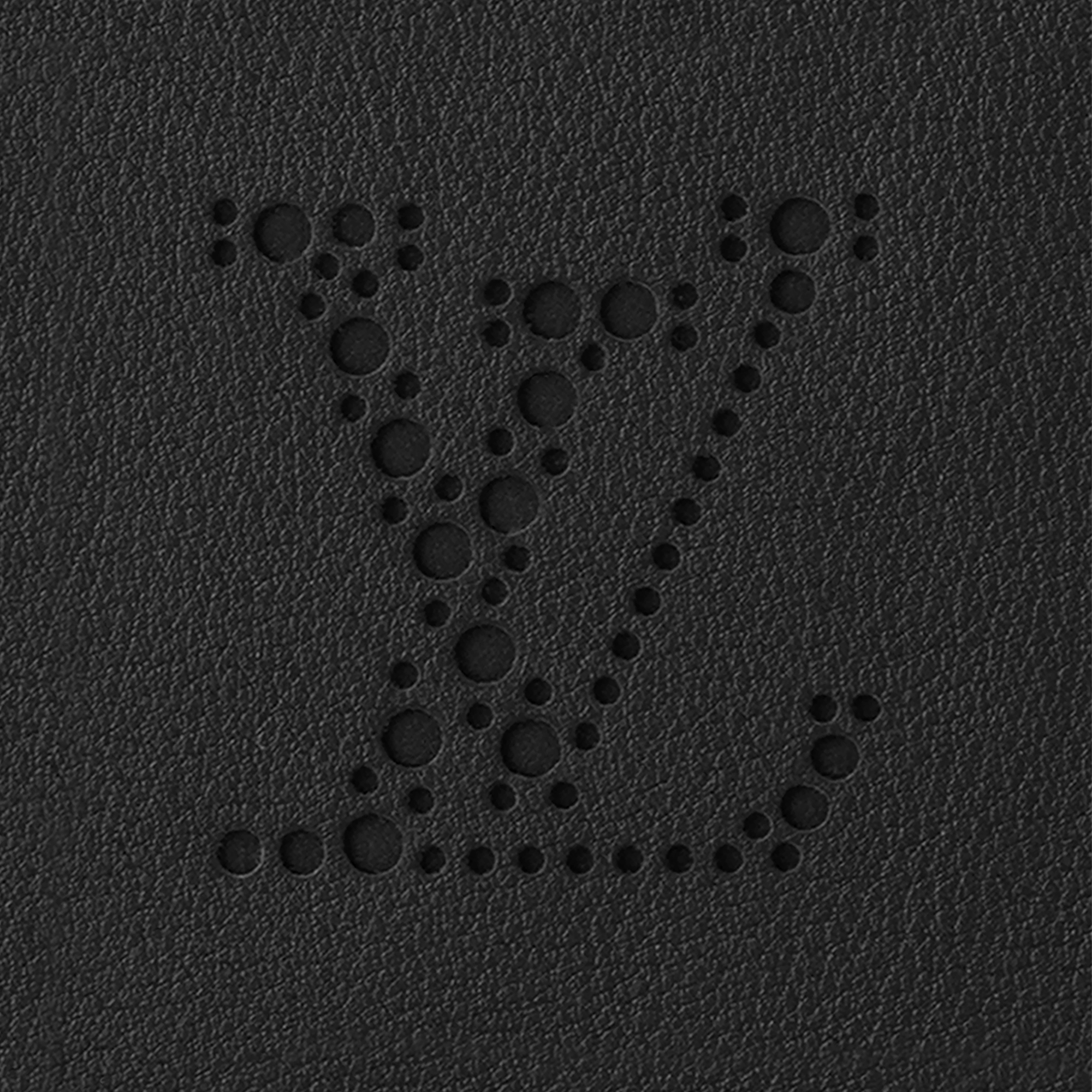 Handle Trunk LV Dart 其他皮革 in Les Extraordinaires