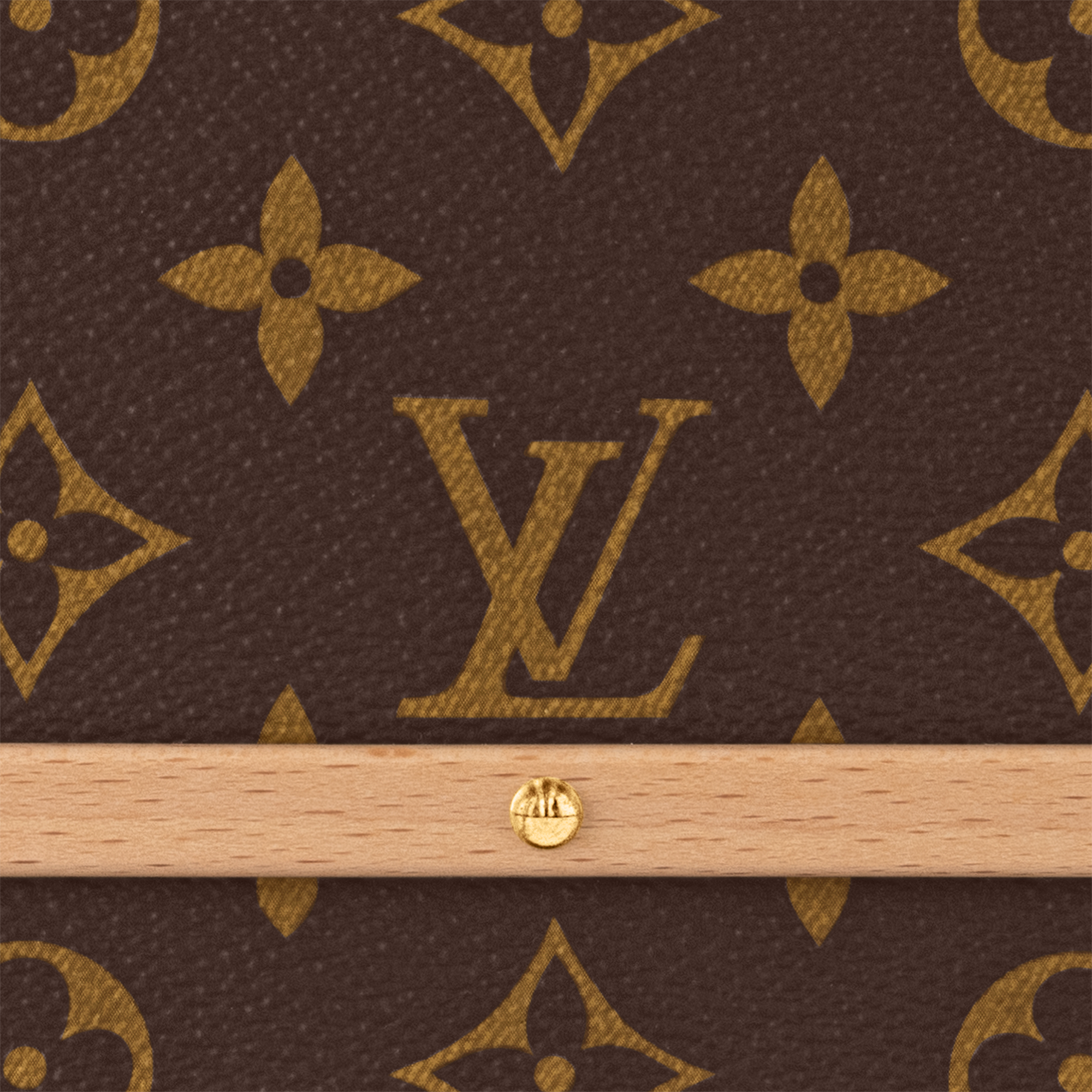 Handle Trunk Monogram Monogram 帆布 in Les Extraordinaires
