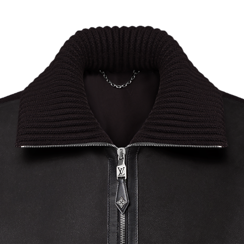 皮革混合面料外套 in 男士's 時裝系列 時裝總覽 collections by Louis Vuitton (產品縮放)