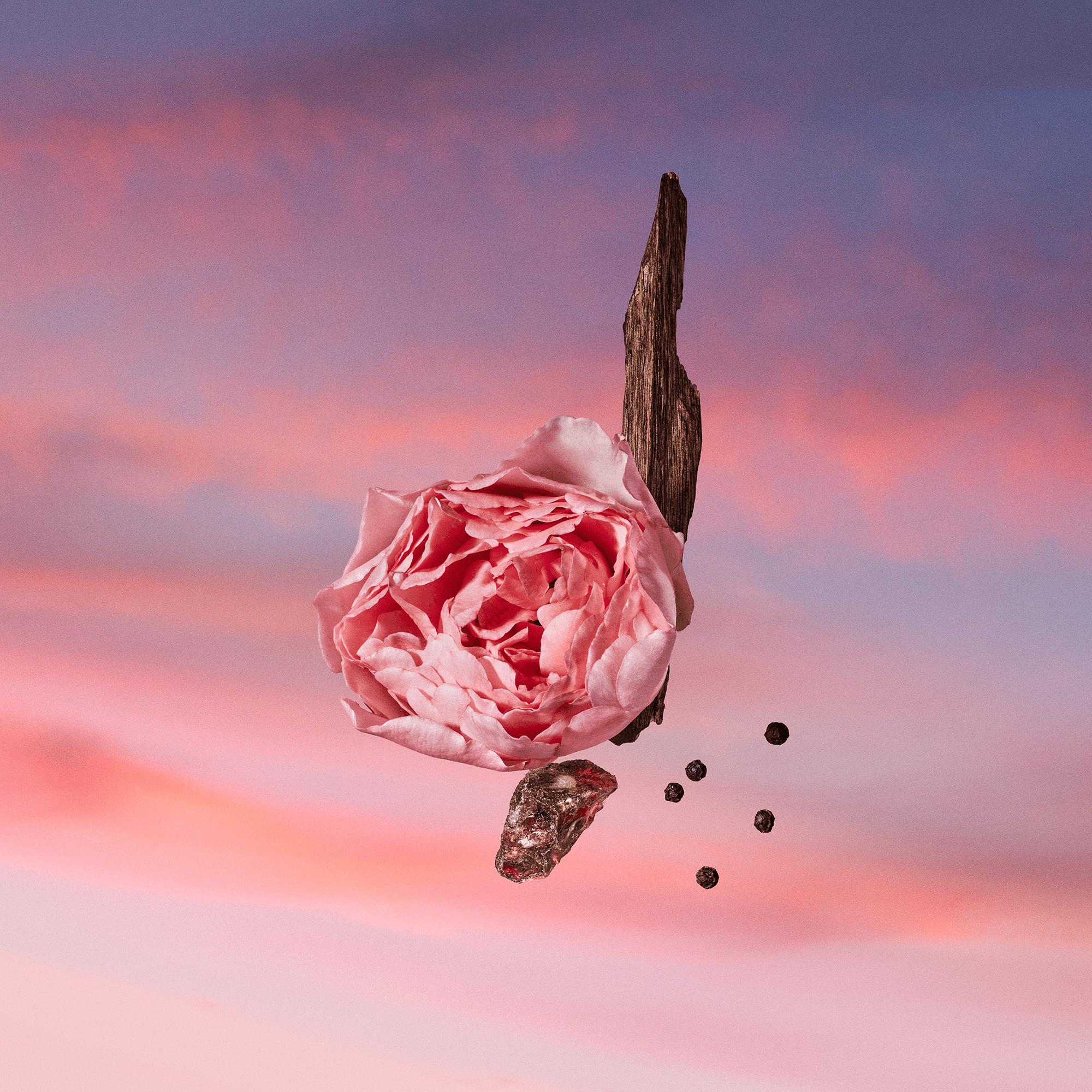 Les Sables Roses  in 香水及彩妝系列