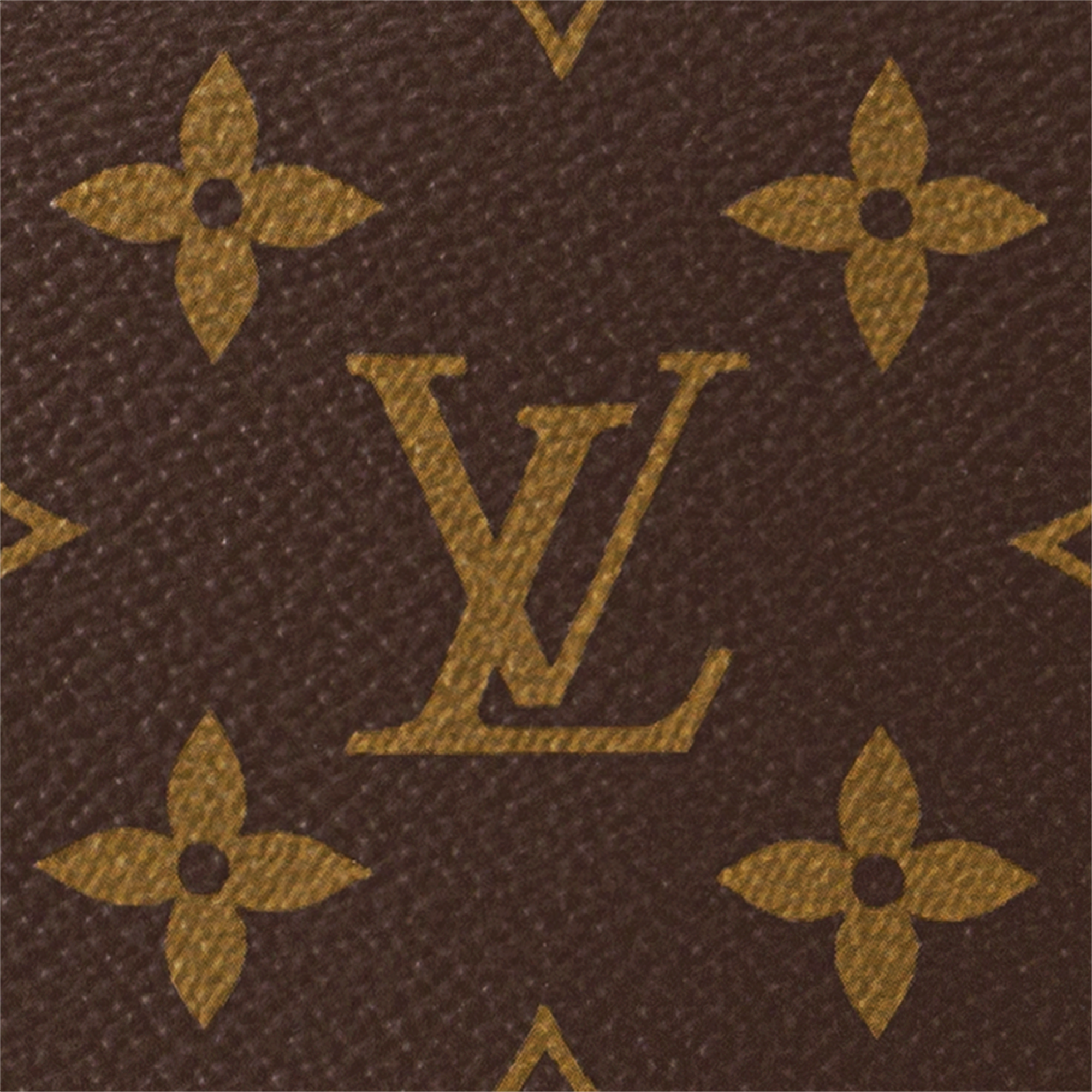 Loop Hobo Monogram 帆布 in 女士