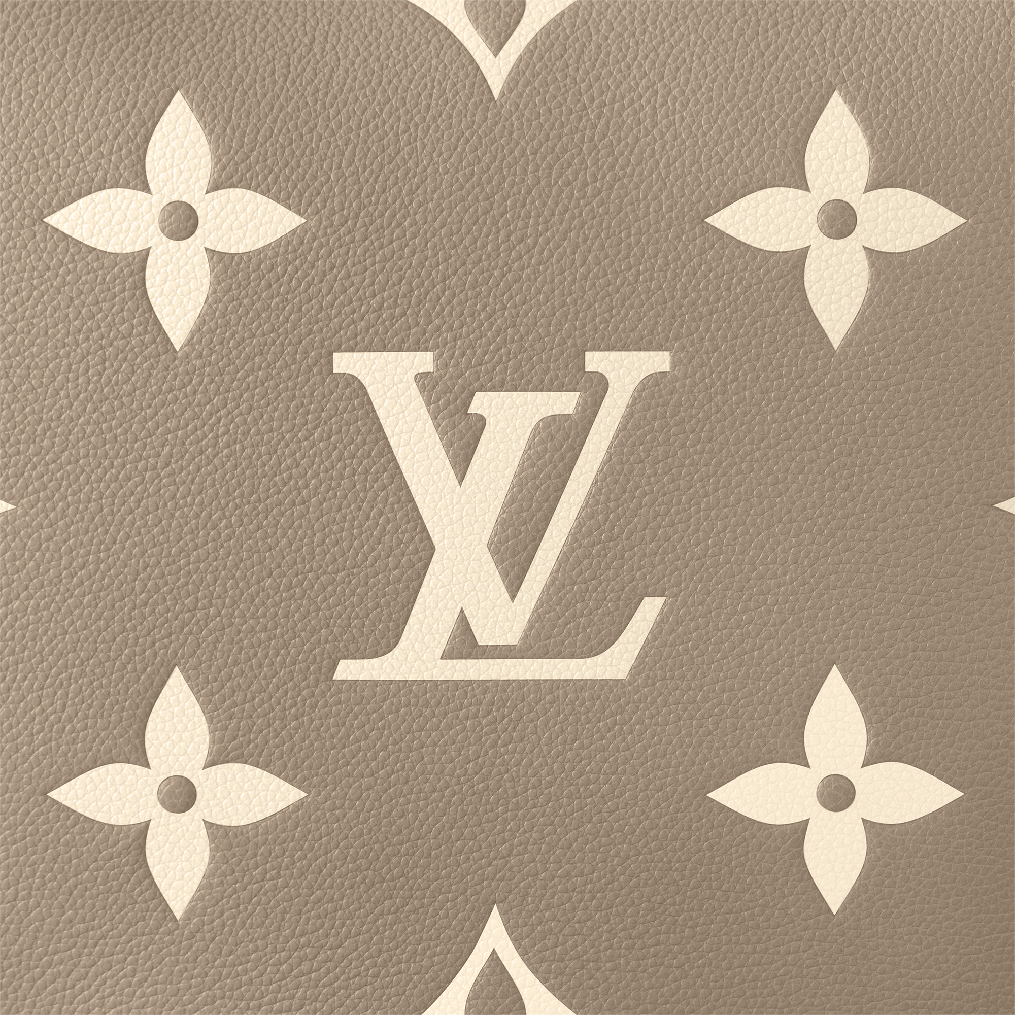 Loop Hobo 雙色 Monogram Empreinte 皮革 in 女士