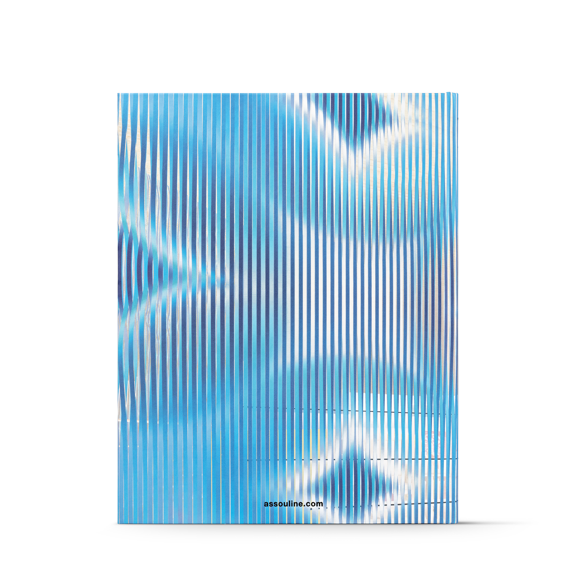 Louis Vuitton Skin: Architecture of Luxury (巴黎)  in 行李箱、旅行用品及家居精品