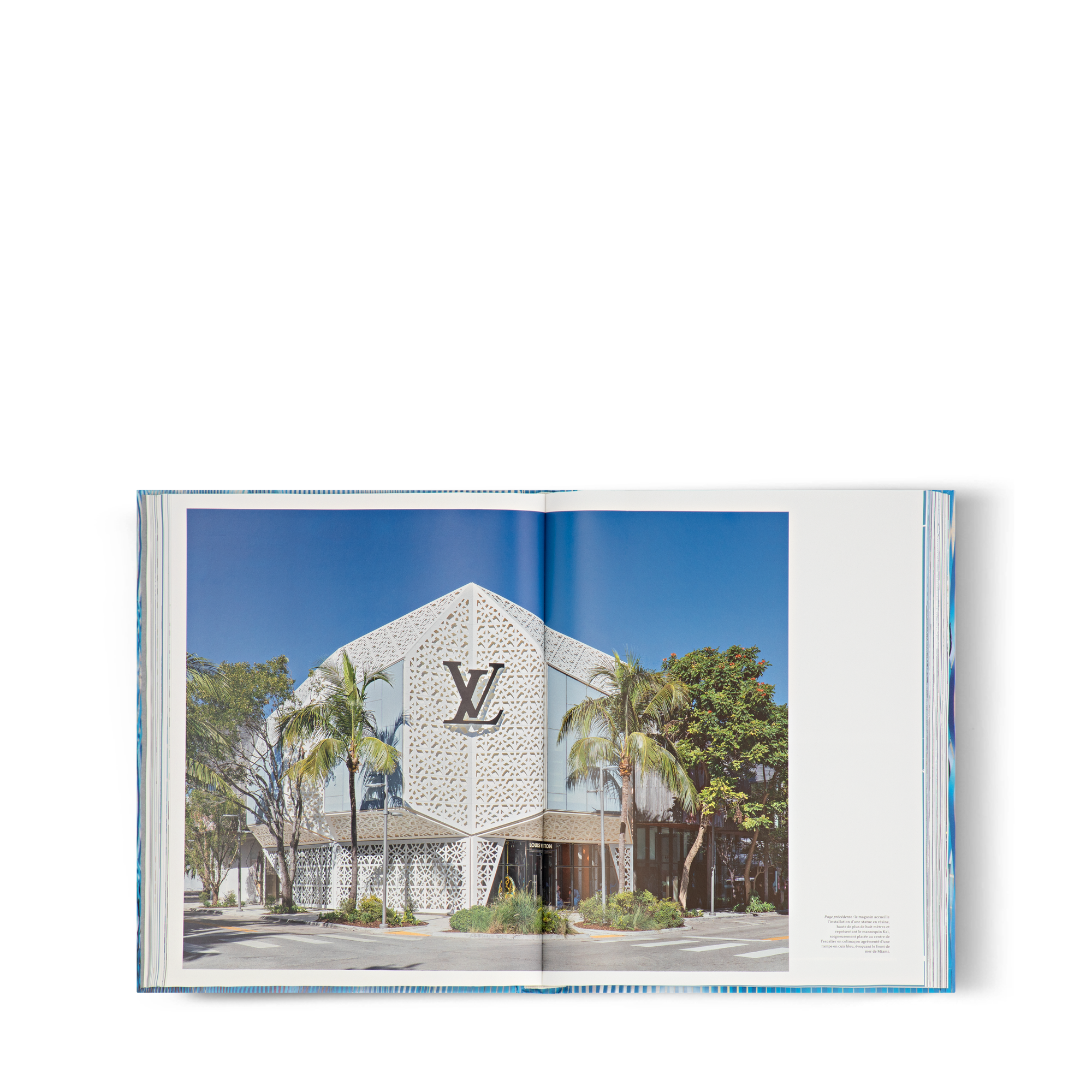 Louis Vuitton Skin: Architecture of Luxury (巴黎)  in 行李箱、旅行用品及家居精品