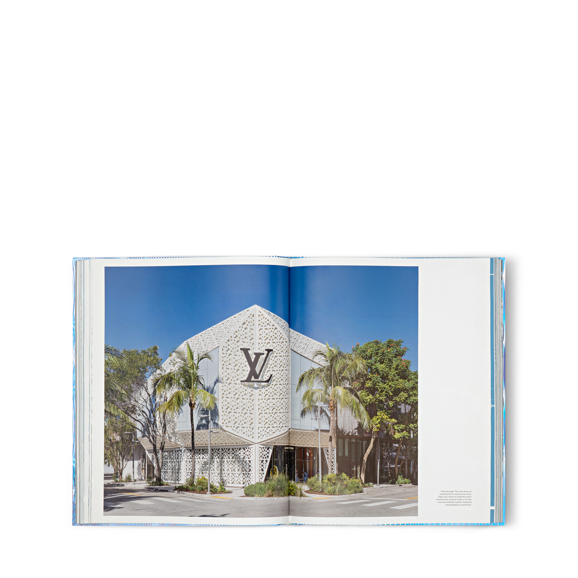 Louis Vuitton Skin: Architecture of Luxury（巴黎）  in 行李箱、旅行用品及家居精品