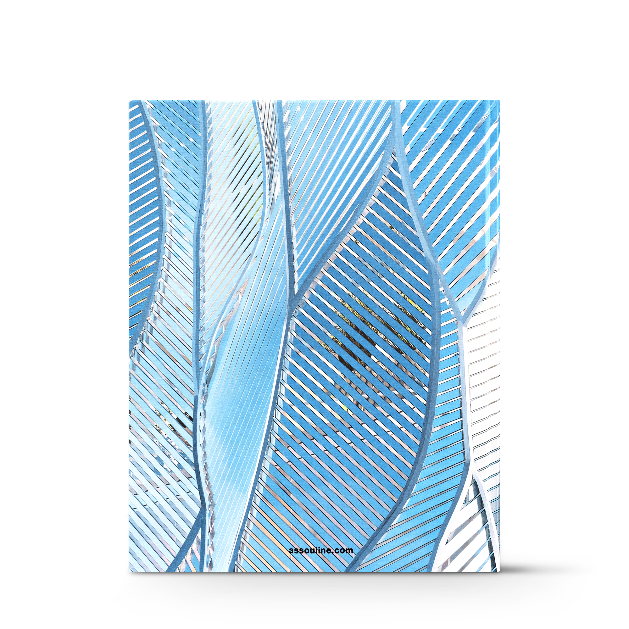 Louis Vuitton Skin: Architecture of Luxury（北京）  in 行李箱、旅行用品及家居精品