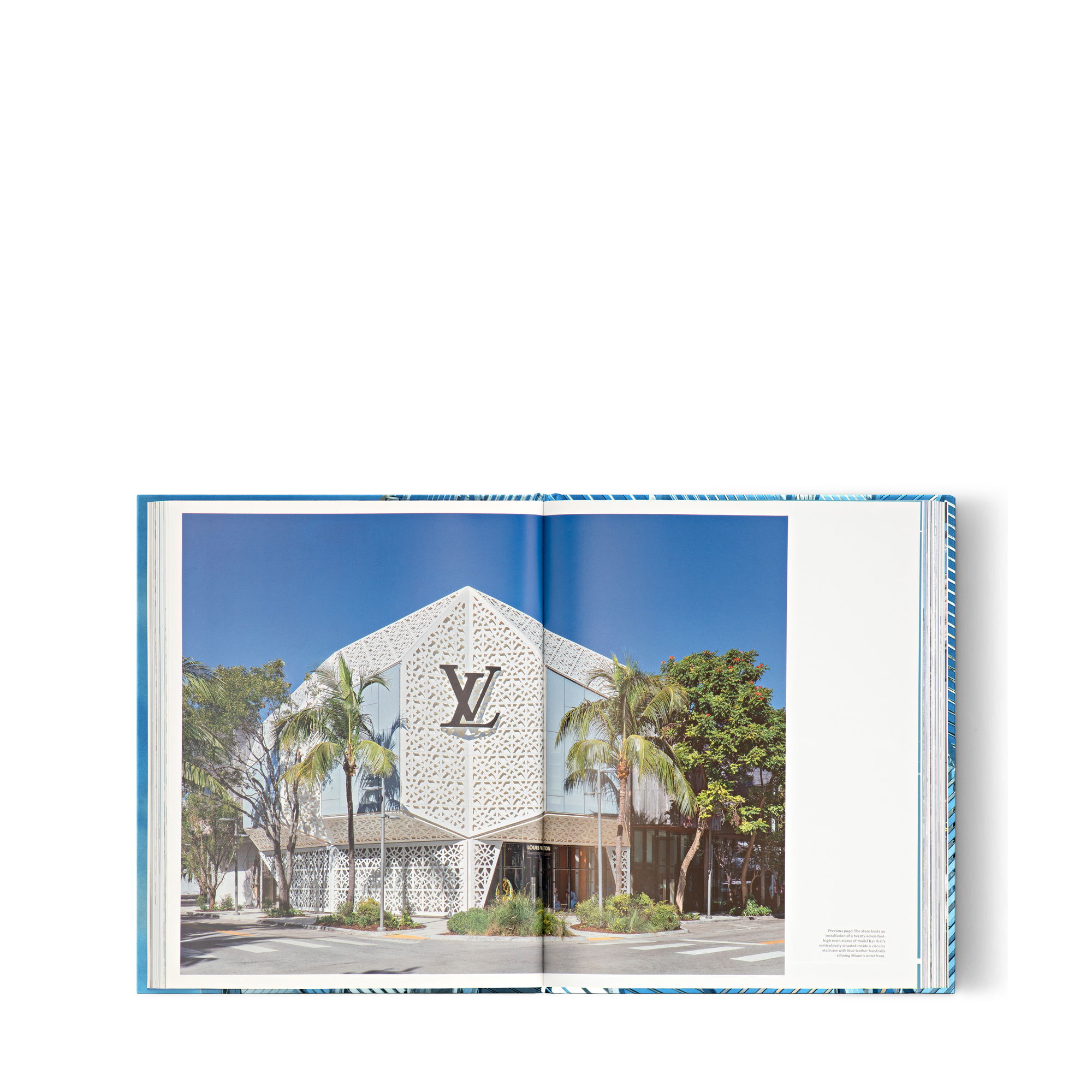 Louis Vuitton Skin: Architecture of Luxury（北京）  in 行李箱、旅行用品及家居精品
