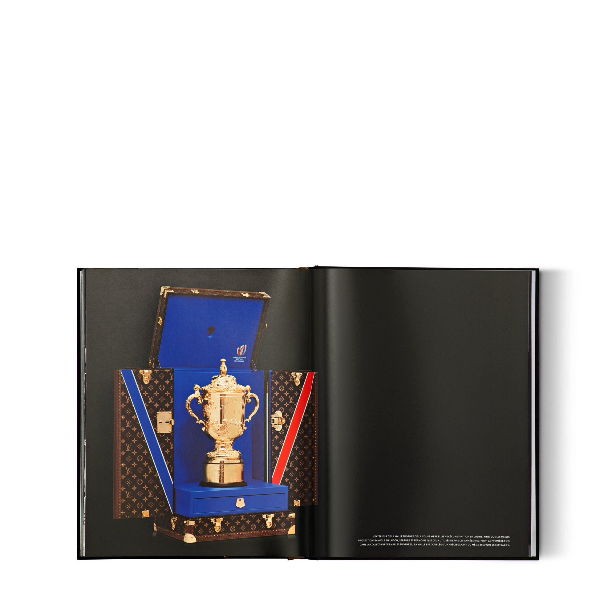Louis Vuitton Trophy Trunks  in 行李箱、旅行用品及家居精品