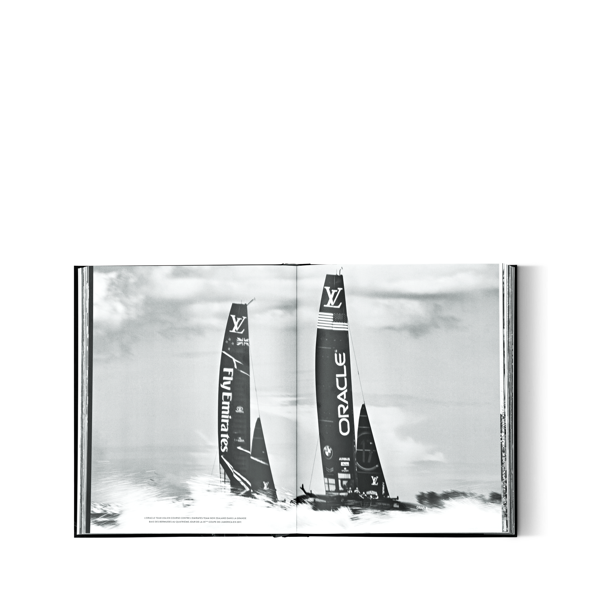Louis Vuitton Trophy Trunks  in 行李箱、旅行用品及家居精品
