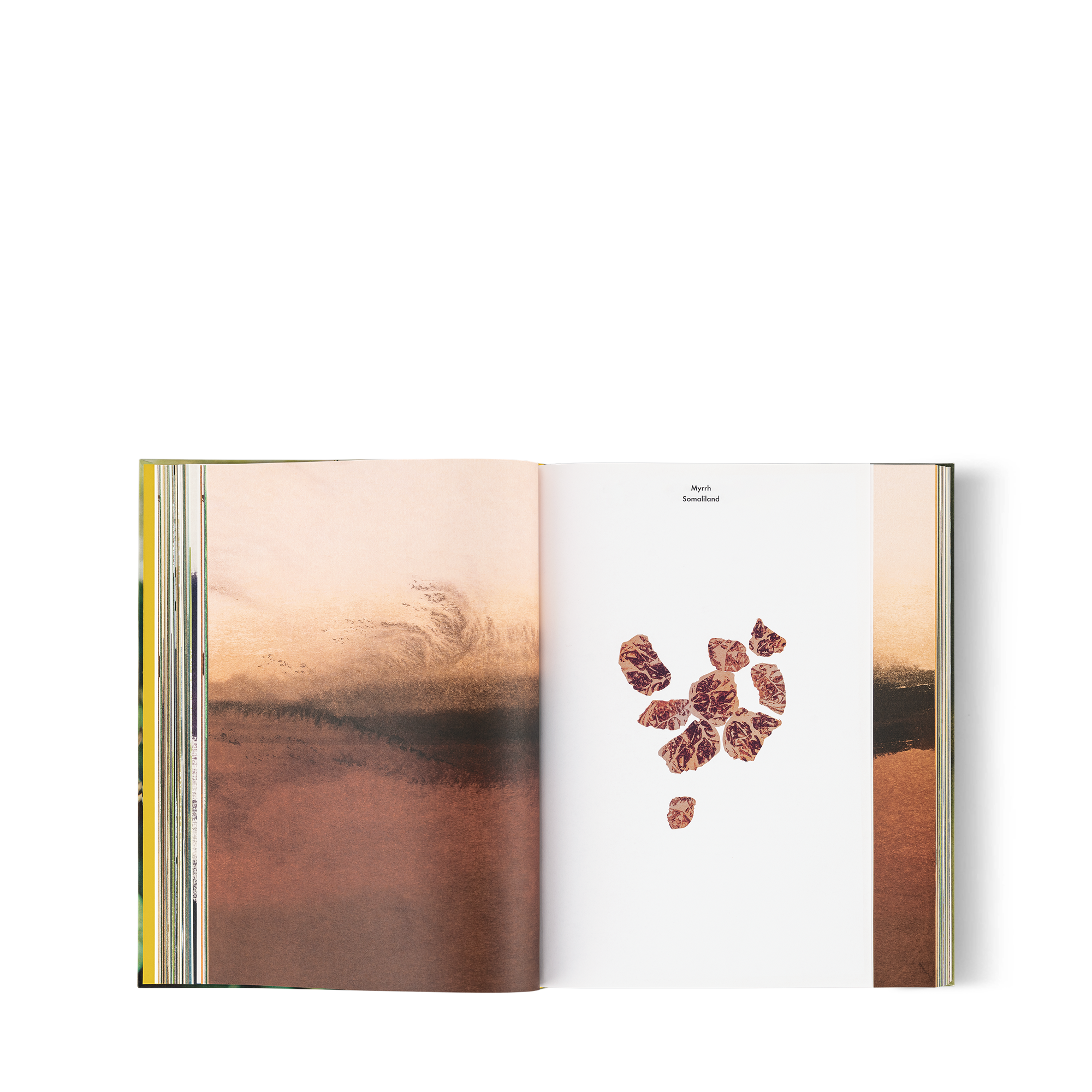 Louis Vuitton: A Perfume Atlas 英文版  in 行李箱、旅行用品及家居精品