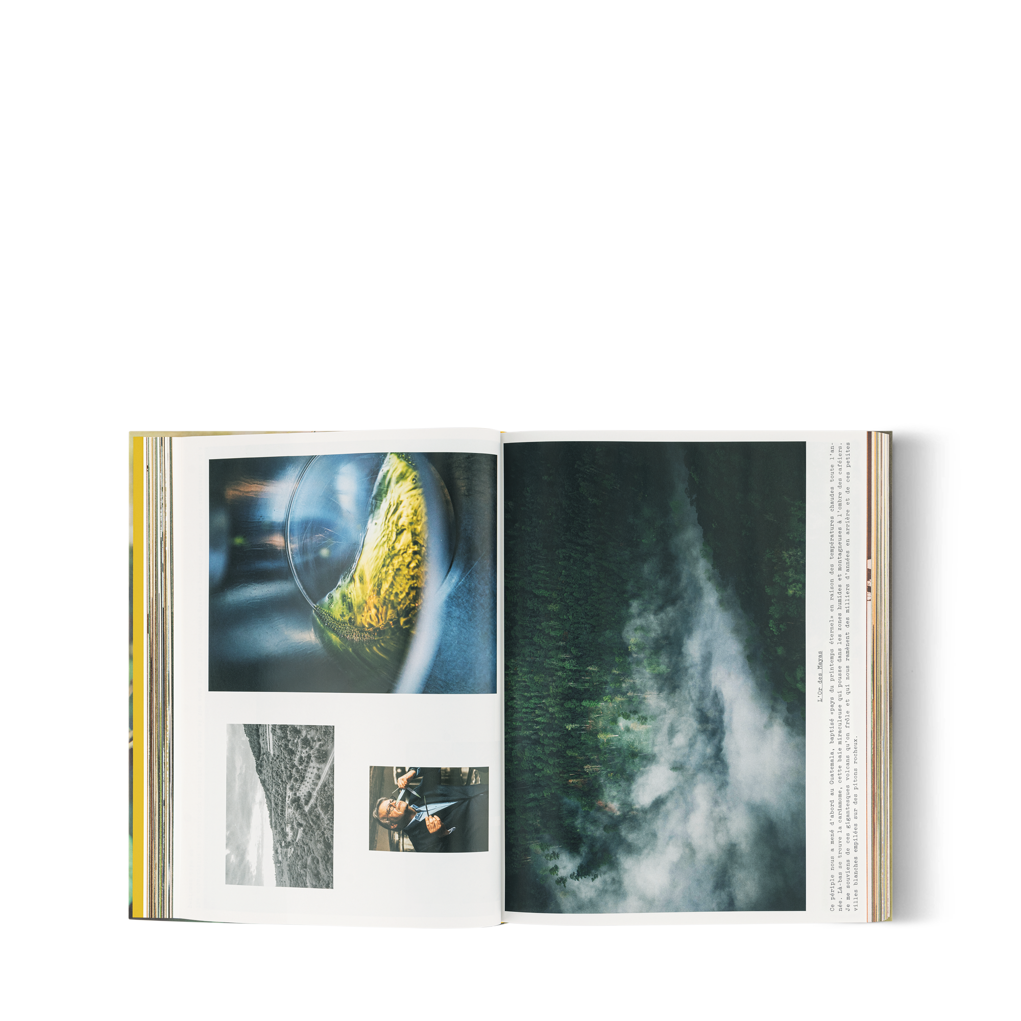 Louis Vuitton: A Perfume Atlas 法文版  in 行李箱、旅行用品及家居精品