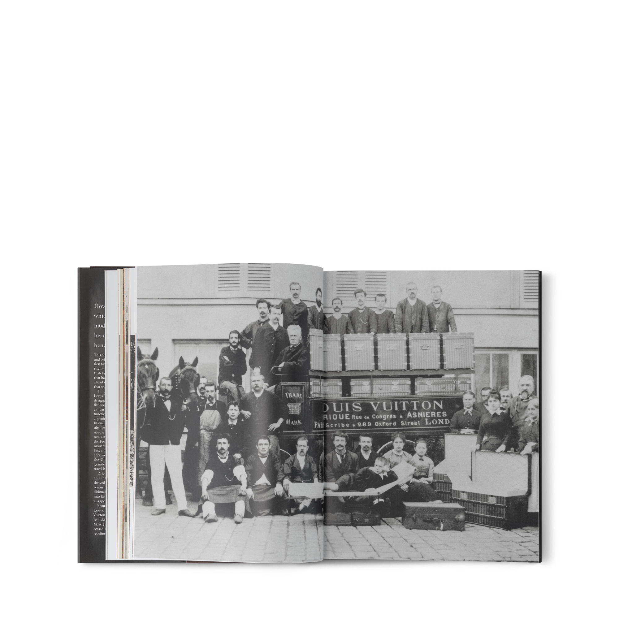 Louis Vuitton: The Birth of Modern Luxury  in 行李箱、旅行用品及家居精品