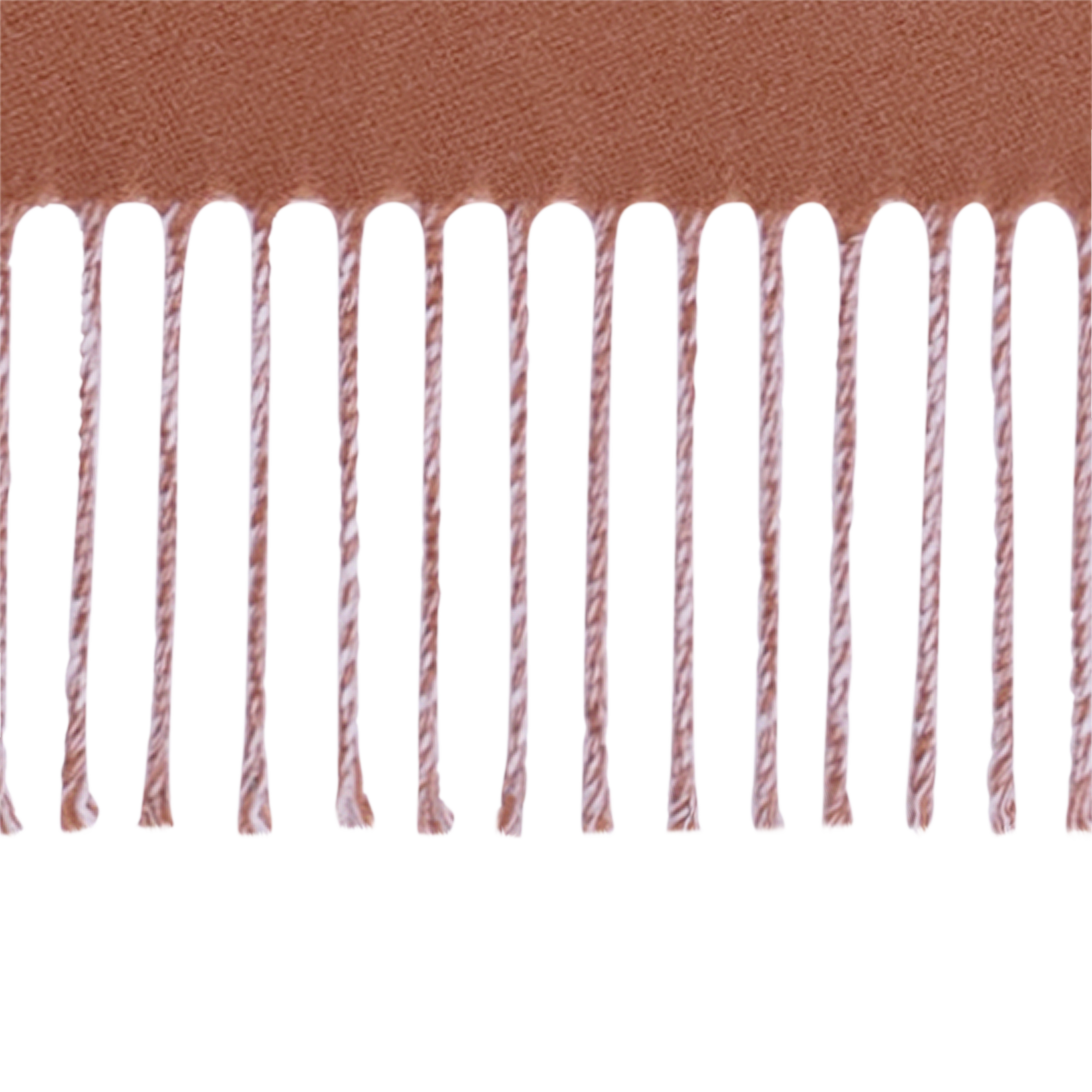 LV Essential 圍巾 . in 女士