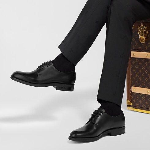LV Flex 皮鞋 in 男士's 鞋履系列 綁帶和搭扣鞋 collections by Louis Vuitton (產品縮放)