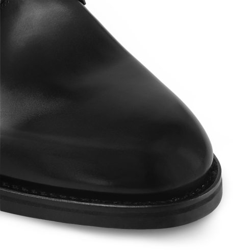 LV Flex 皮鞋 in 男士's 鞋履系列 綁帶和搭扣鞋 collections by Louis Vuitton (產品縮放)