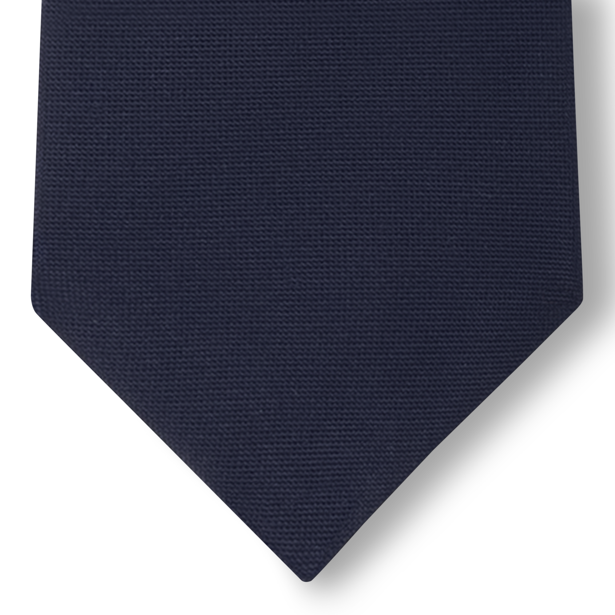 LV Turtle 領帶 . in 男士