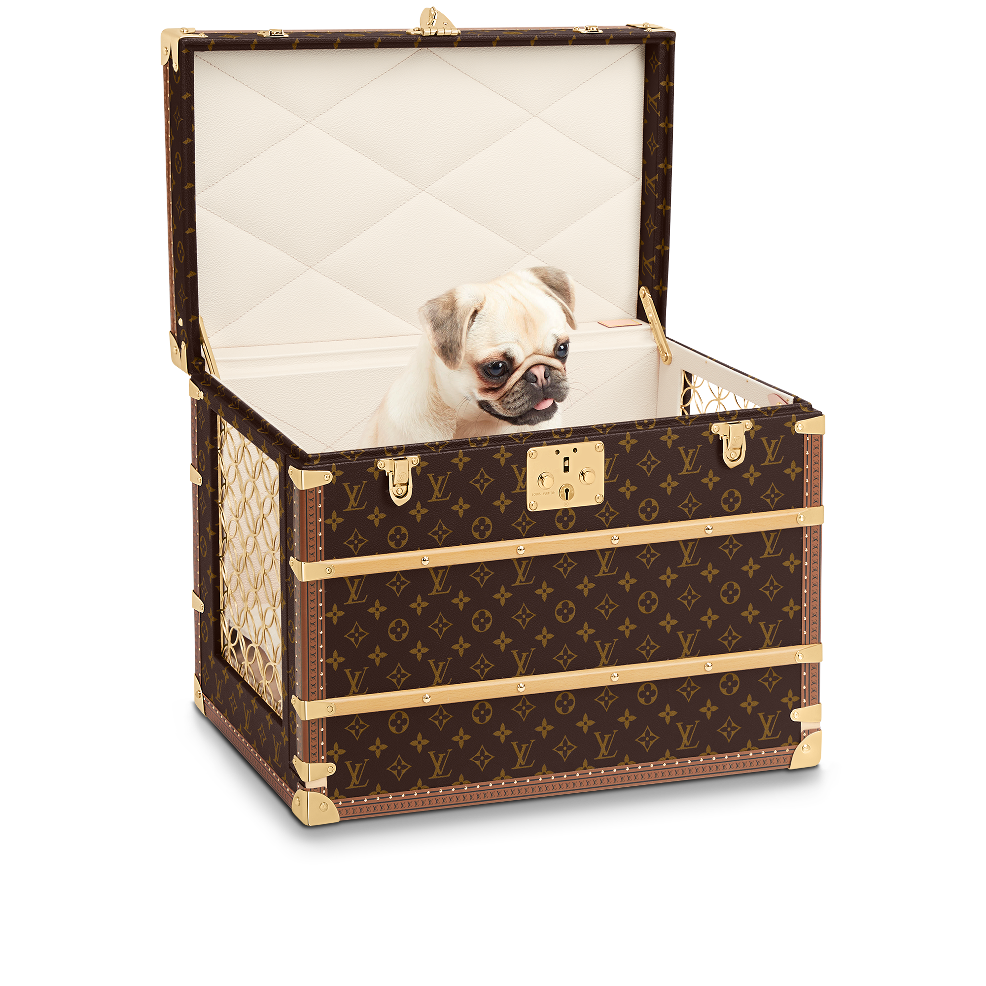 Malle Chien Monogram 帆布 in 行李箱、旅行用品及家居精品