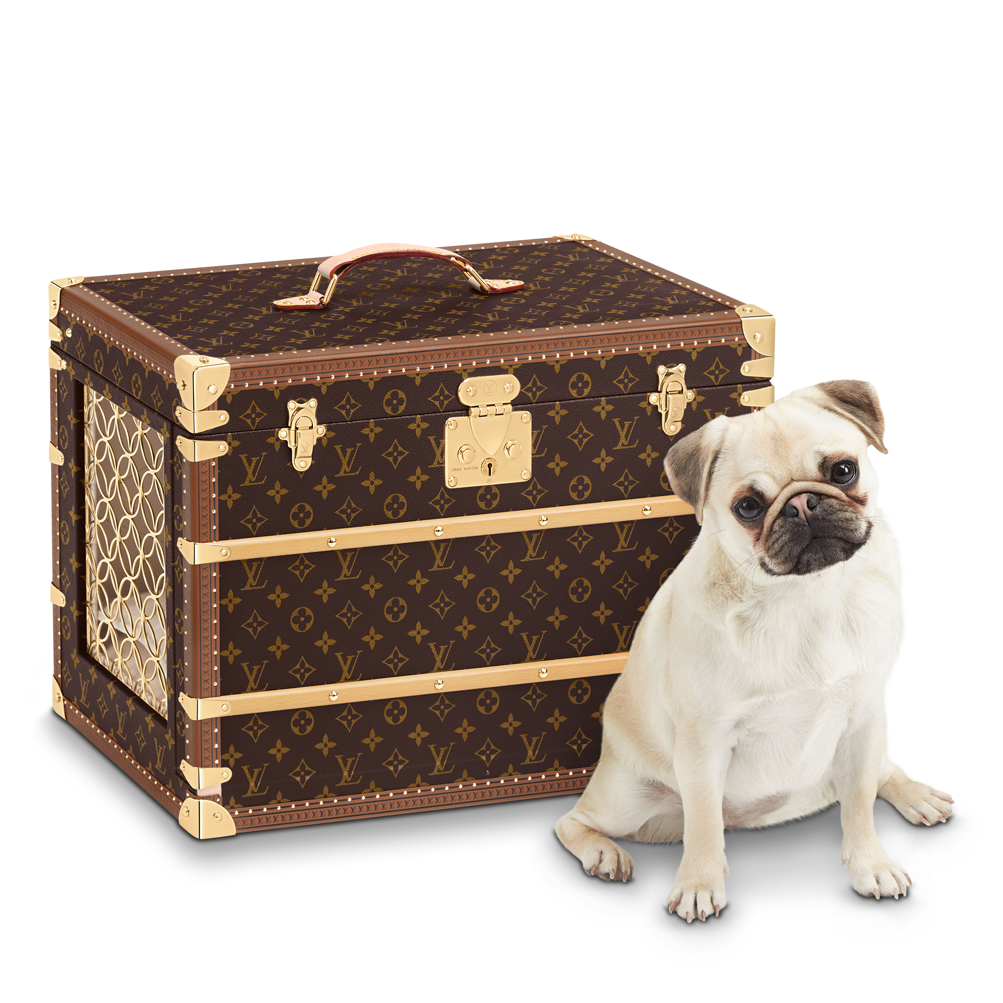 Malle Chien Monogram 帆布 in 行李箱、旅行用品及家居精品