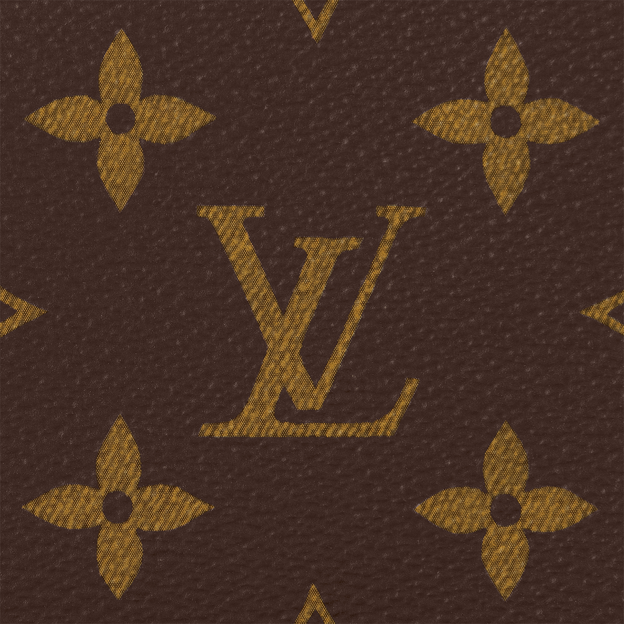 Multiple 錢包 Monogram Macassar 帆布 in 男士
